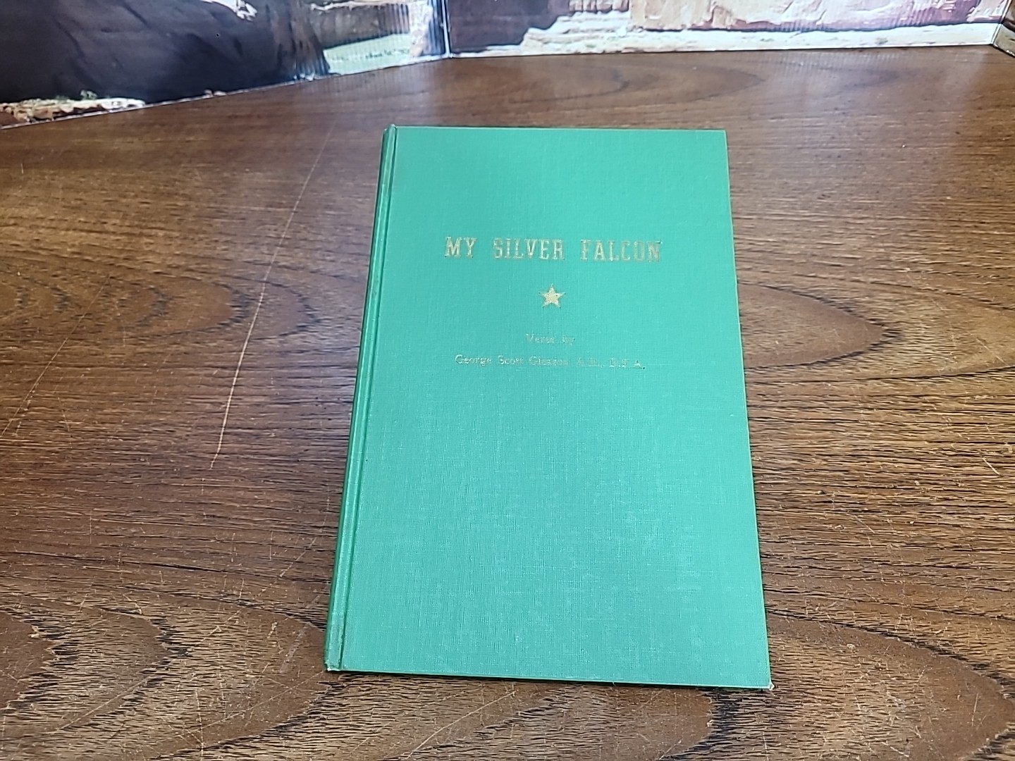 My Silver Falcon Verse By George Scott Gleason A.B. B.F.A.