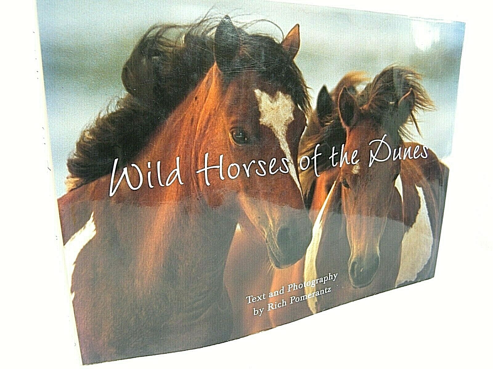 Wild Horses of the Dunes by Rich Pomerantz (2004, HC GD+ 1ST ‚FLAT SIGNED‘