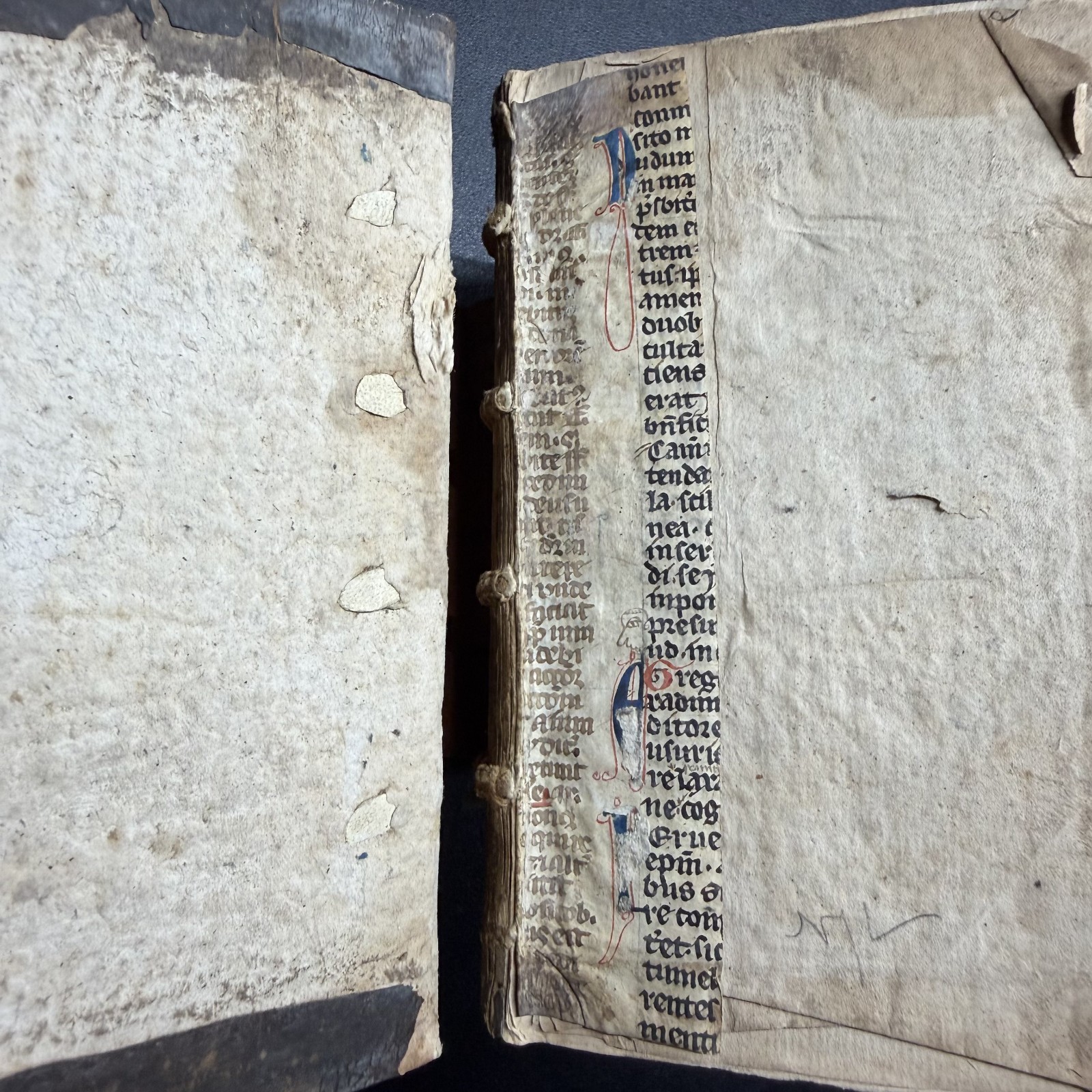 1567 ?? Erasmus Novi Testamenti, Latin NT, 100+ Woodcuts, Rihel