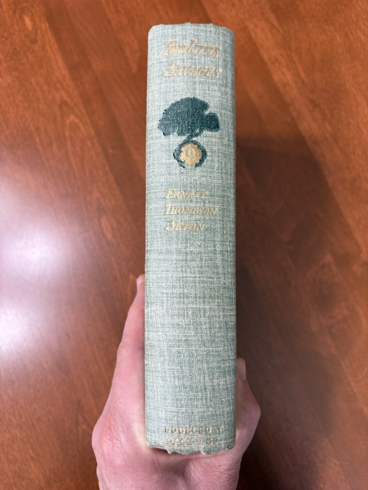 FIRST EDITION/ PRINTING „Two Little Savages,“ Ernest Seton, VG+, 1903