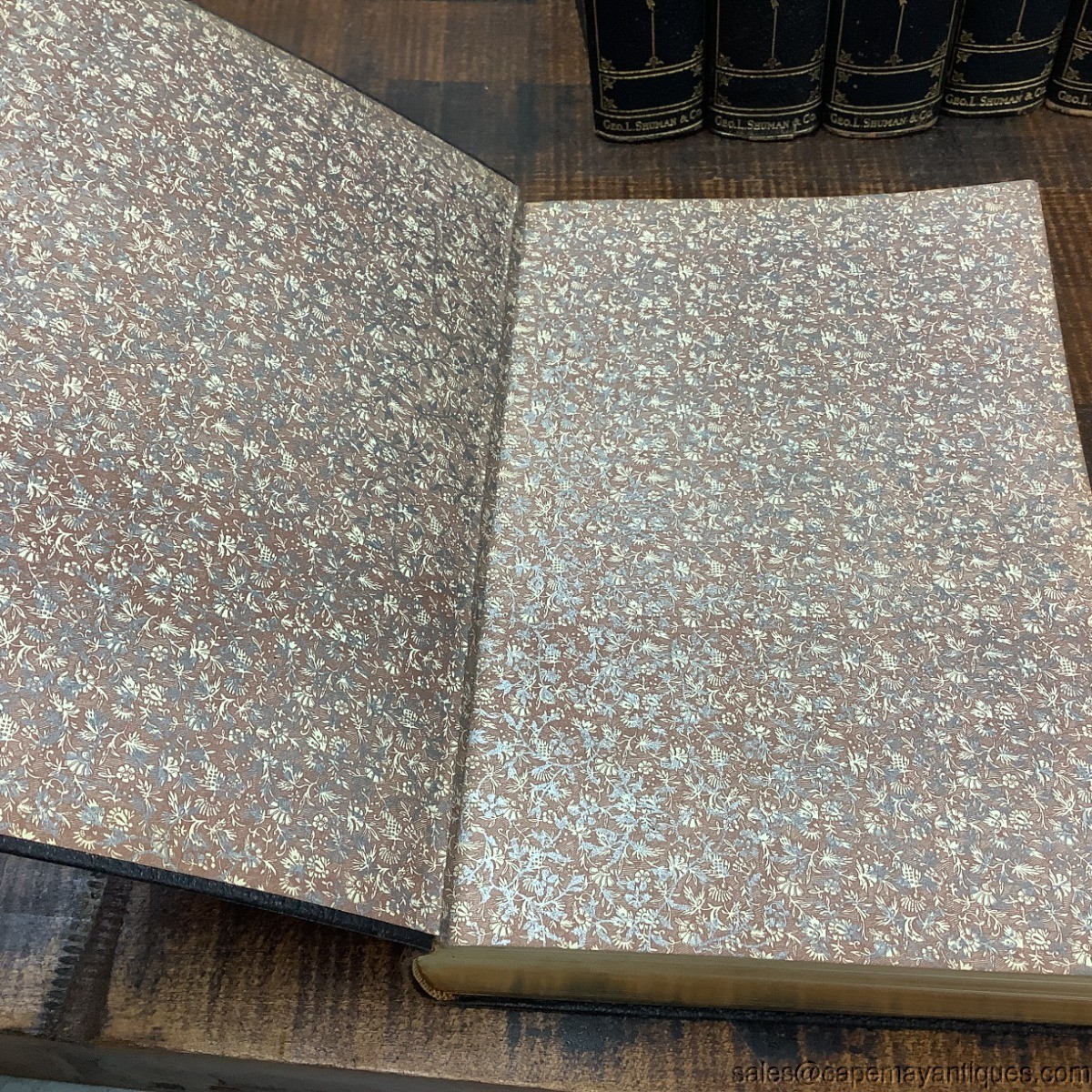 The Stoddard Library of Entertainment 8 Various Volumes Blue Gold Leather Bound