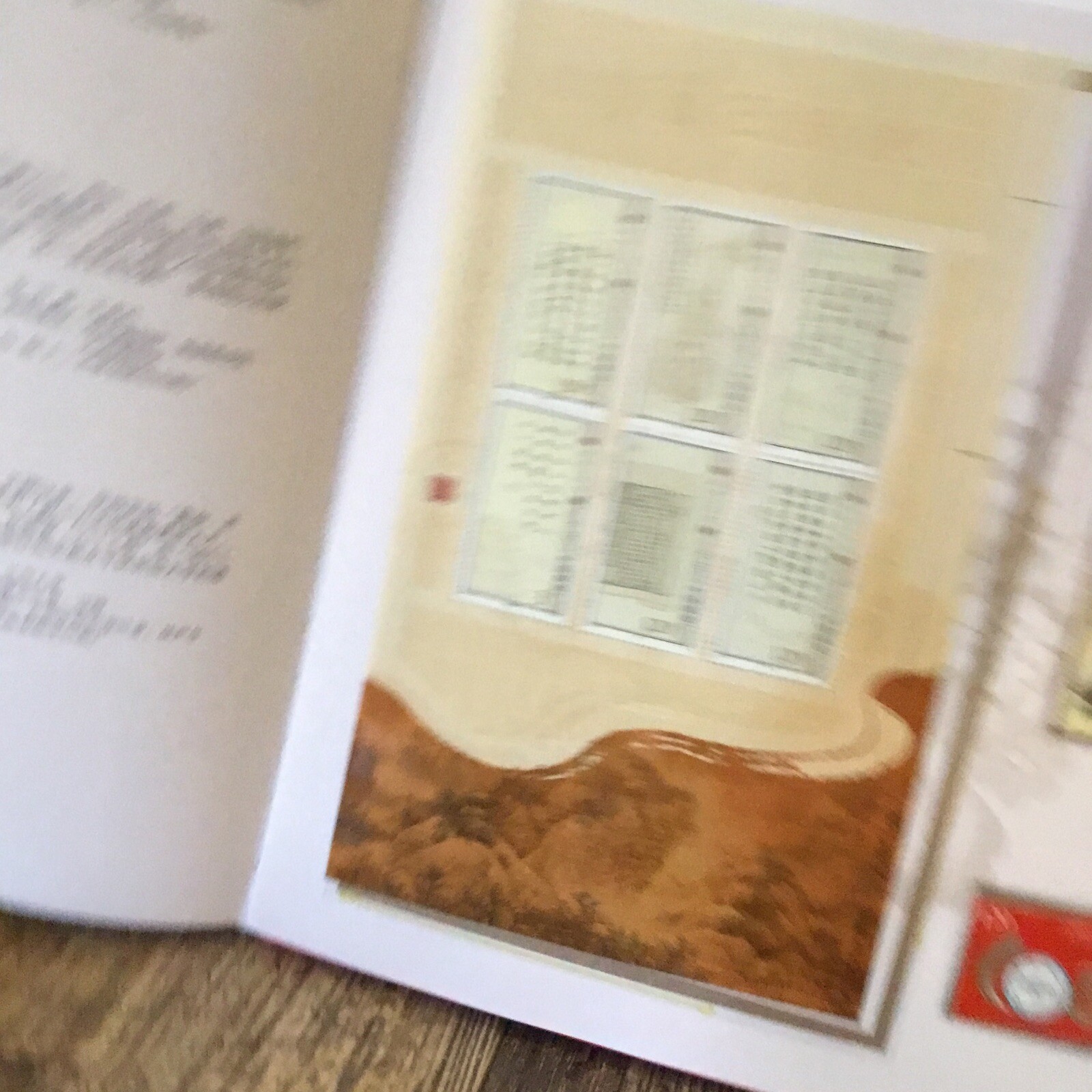 BOOK OF POSTAGE STAMPS OF CHINA 2009 CNP CORP HARDBACK EDITION With Cover