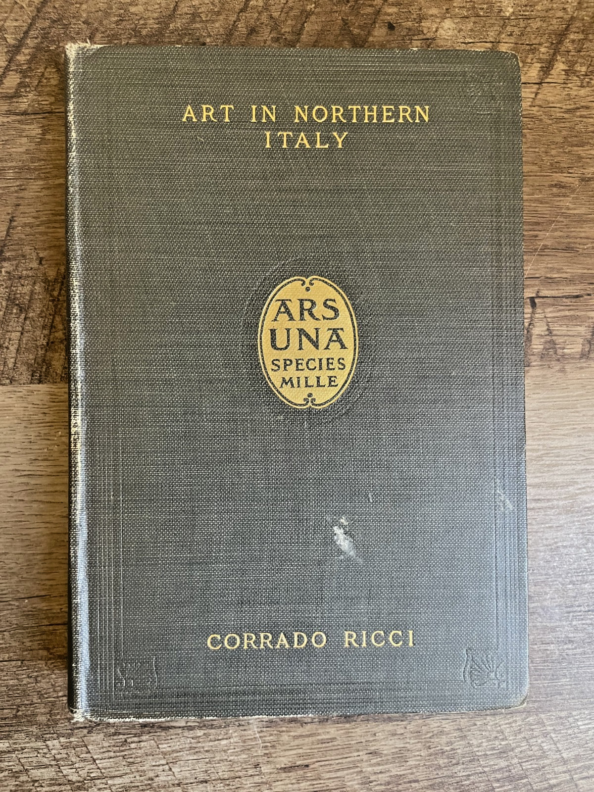 RARE 1911 Art in Northern Italy, Corrado Ricci Art History ARS UNA SPECIES MILLE