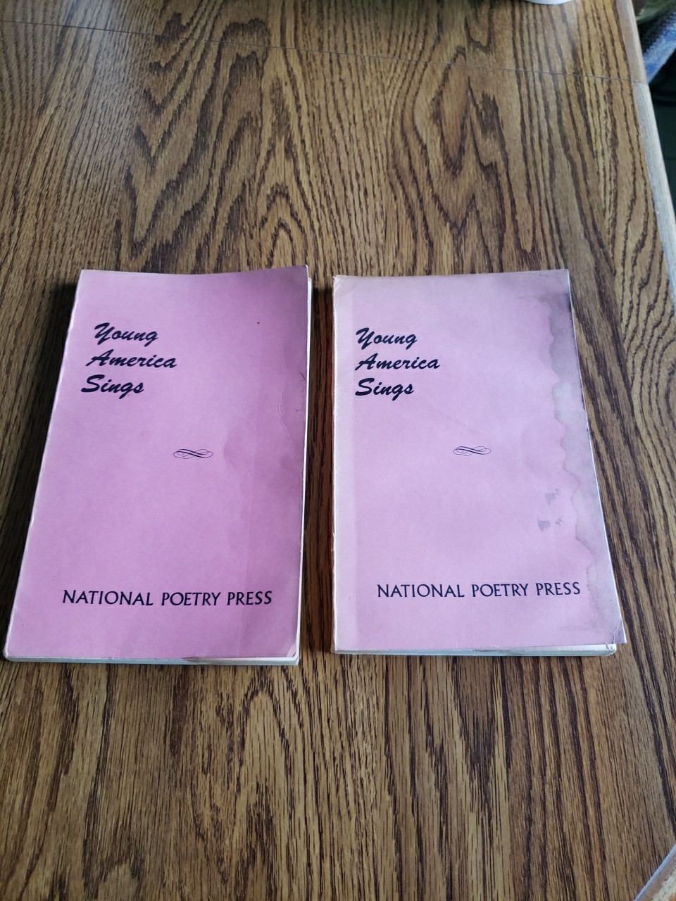 Young America Sings 1974 Fall + Spring National Poetry Press Paperback Books