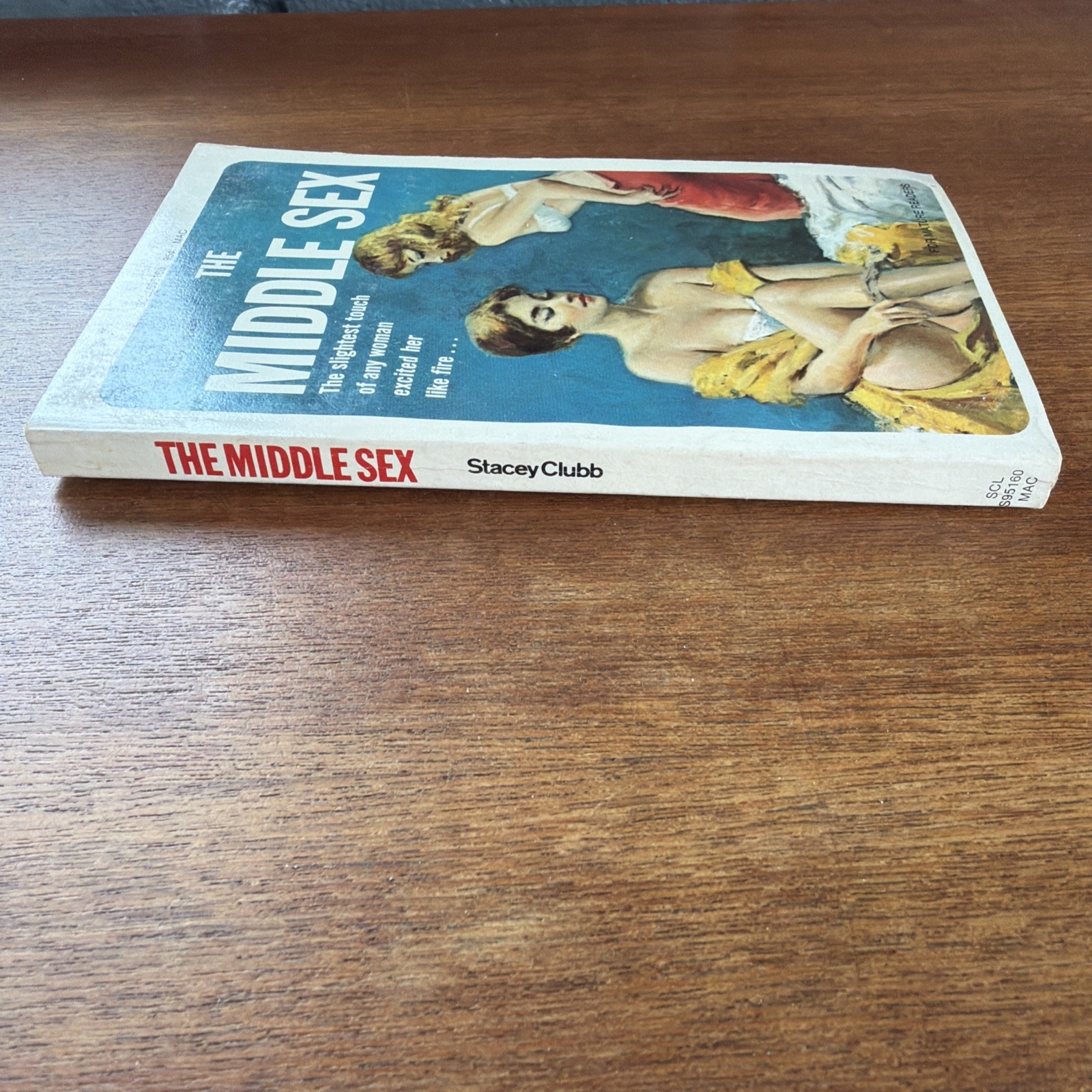 The Middle Sex Stacey Clubb 1970 Vintage LGBT Pulp Paperback