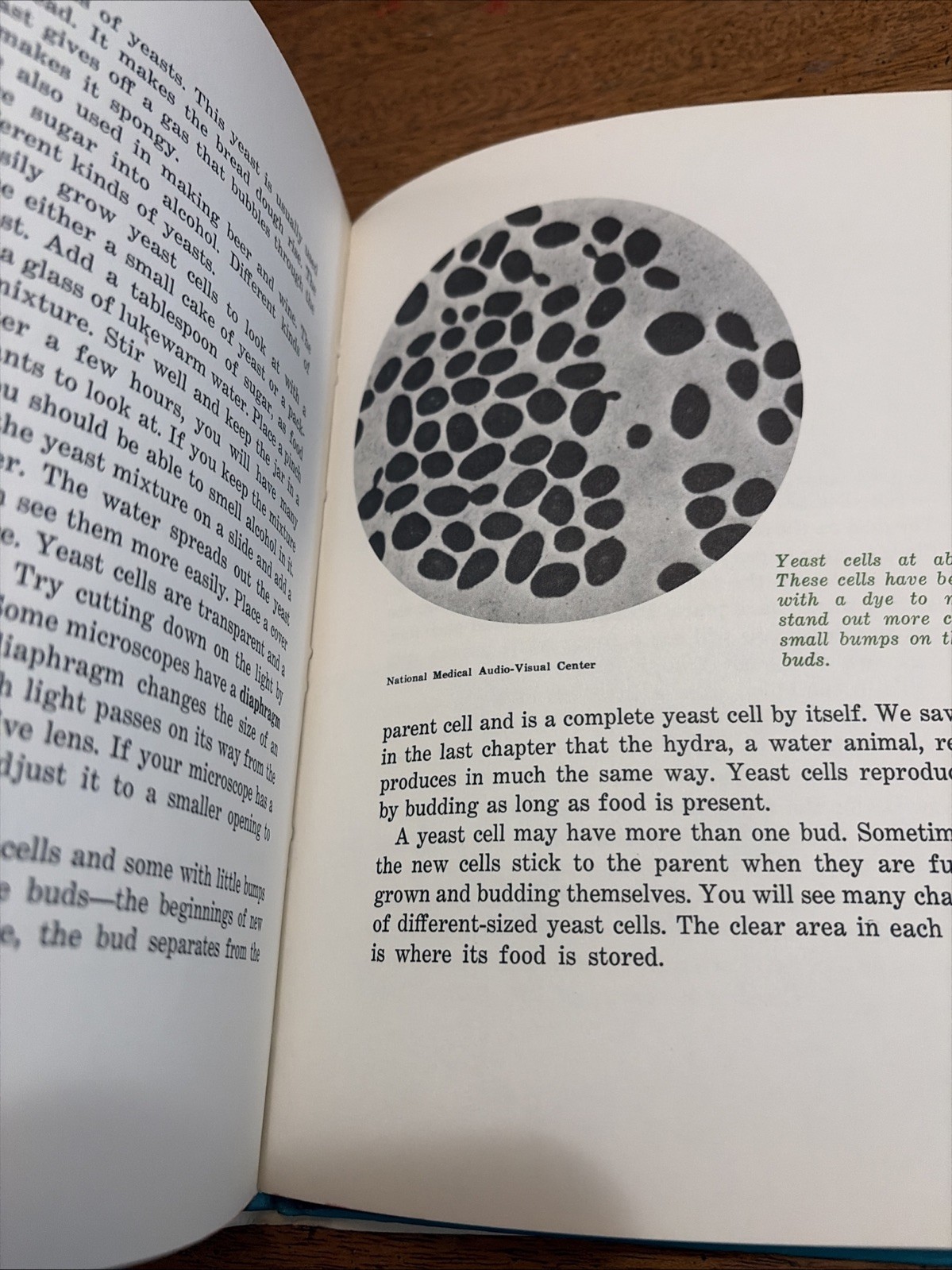 Exploring with a Microscope by Seymour Simon (1969) Hardcover