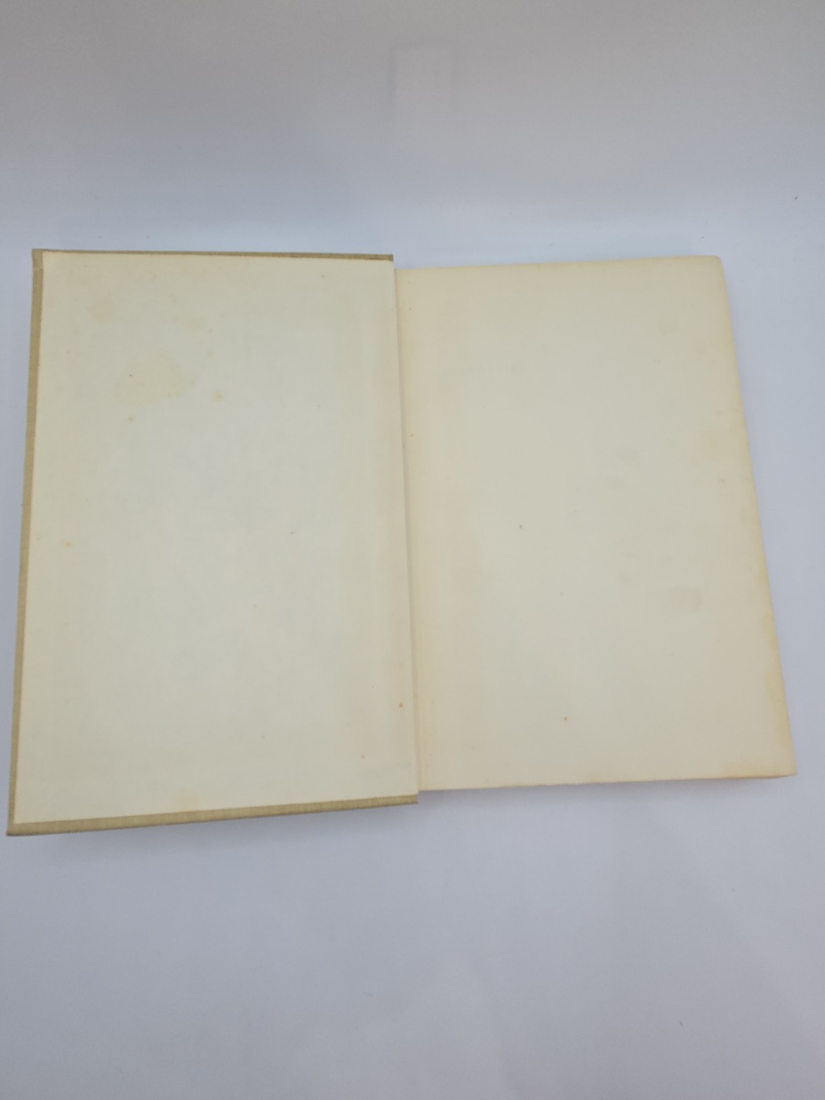 Mathematics From Archimedes to Einstein Ed By Samuel Rapport & Helen Wright 1963