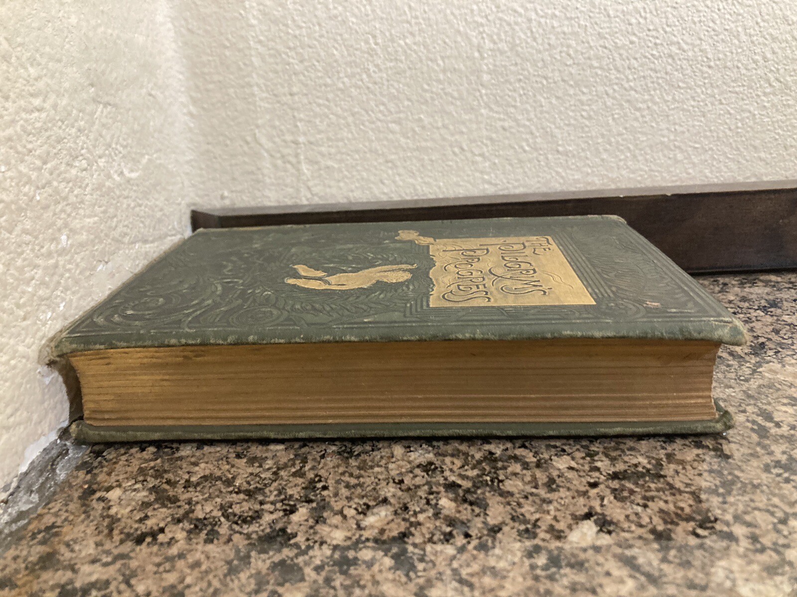 John Bunyan The Pilgrim’s Progress 1886 White stokes Allen