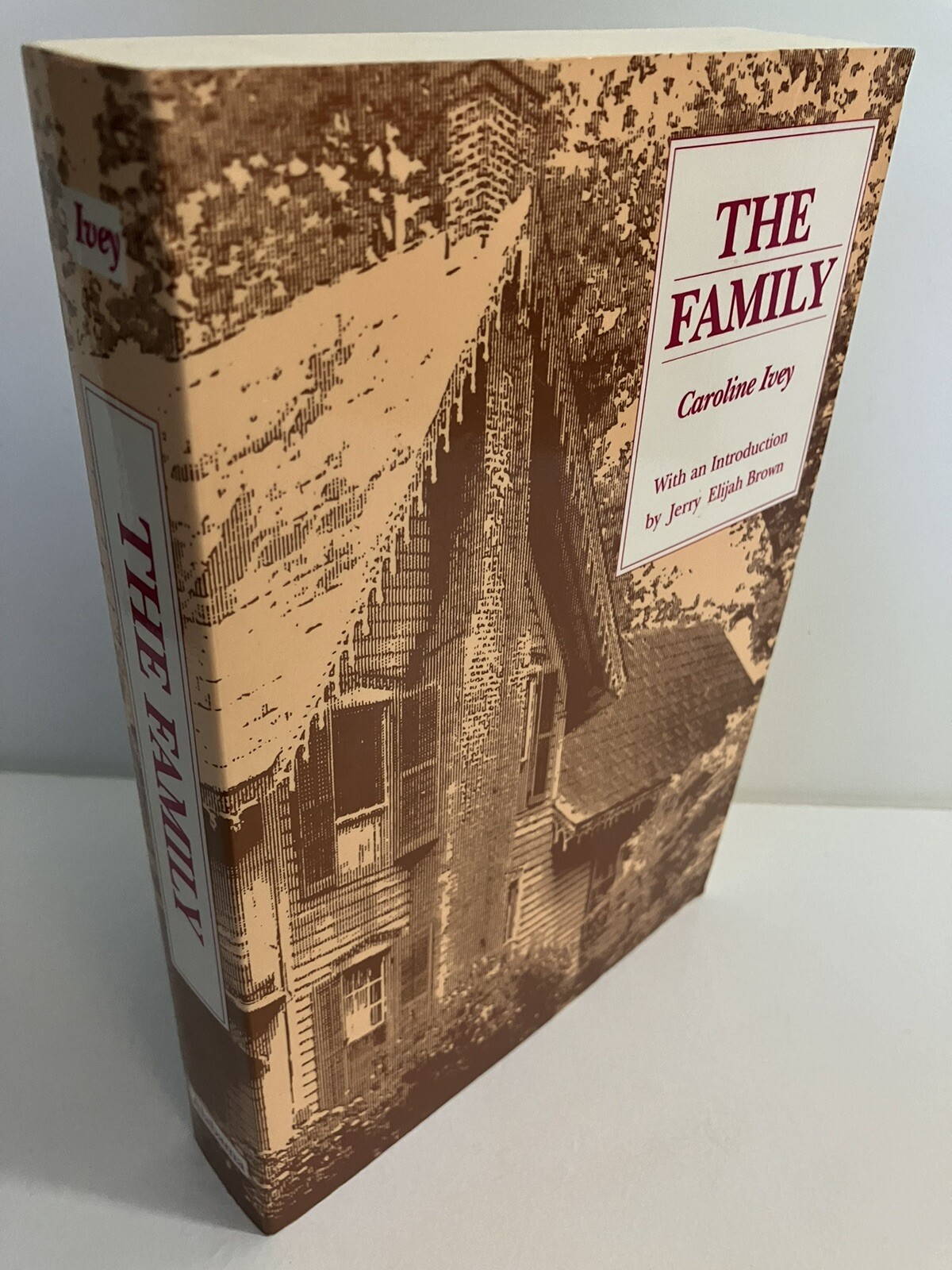 THE FAMILY by Caroline Ivey 1991 University of Alabama Press Softcover Near Fine