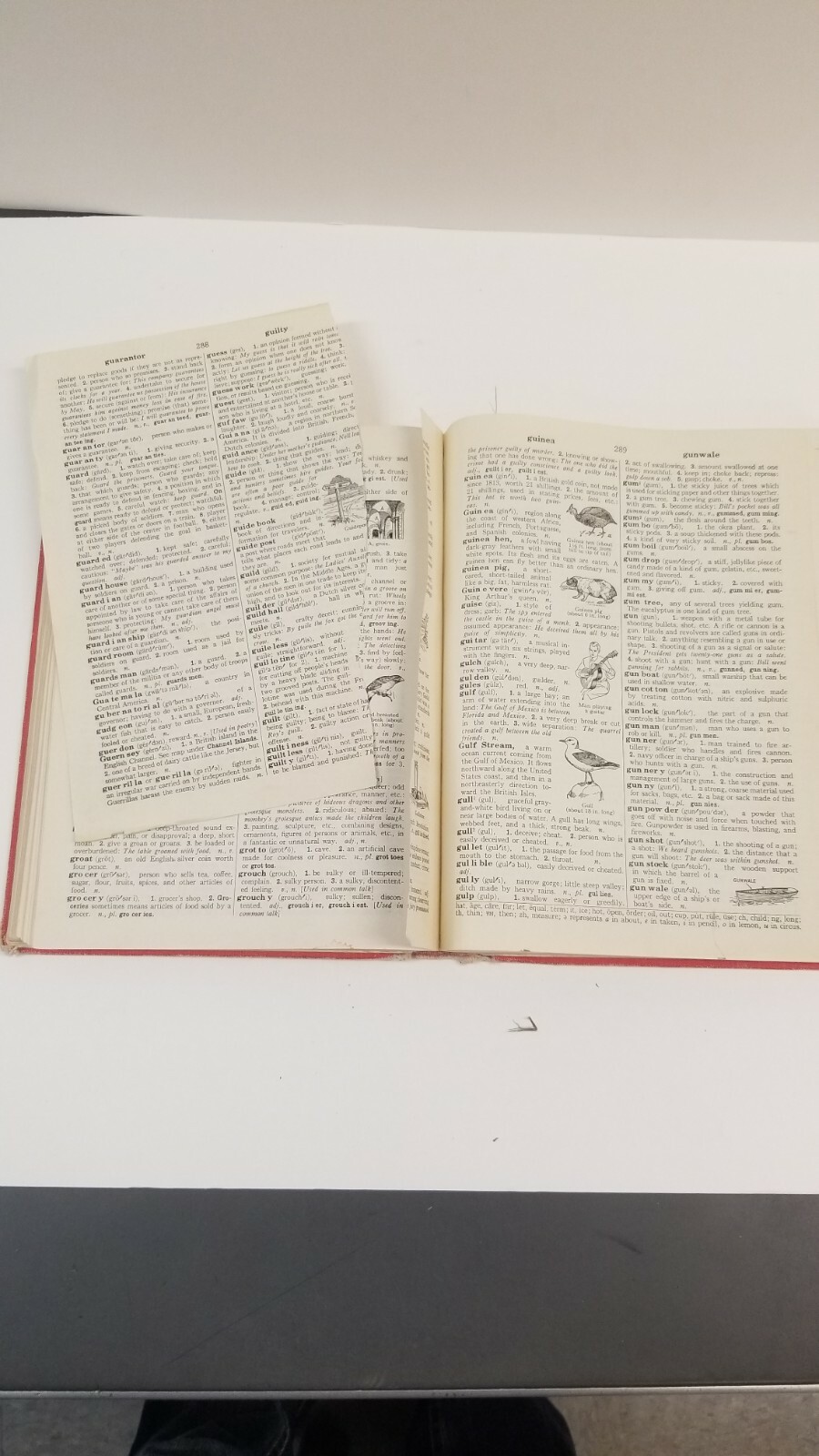 Thorndike And Barnhart Junior Dictionary 1962 Edition.