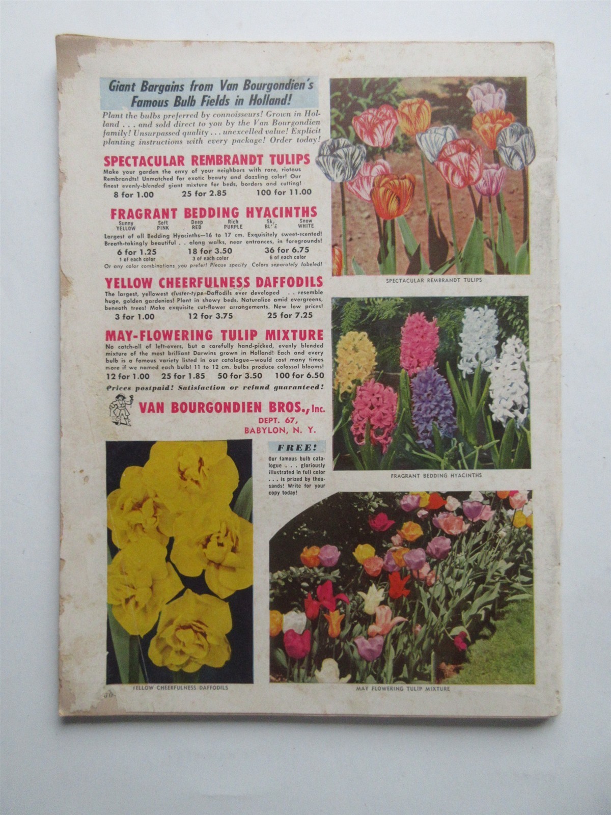 Flower Grower Magazine Vintage June 1953 Gardening – Iris, roses