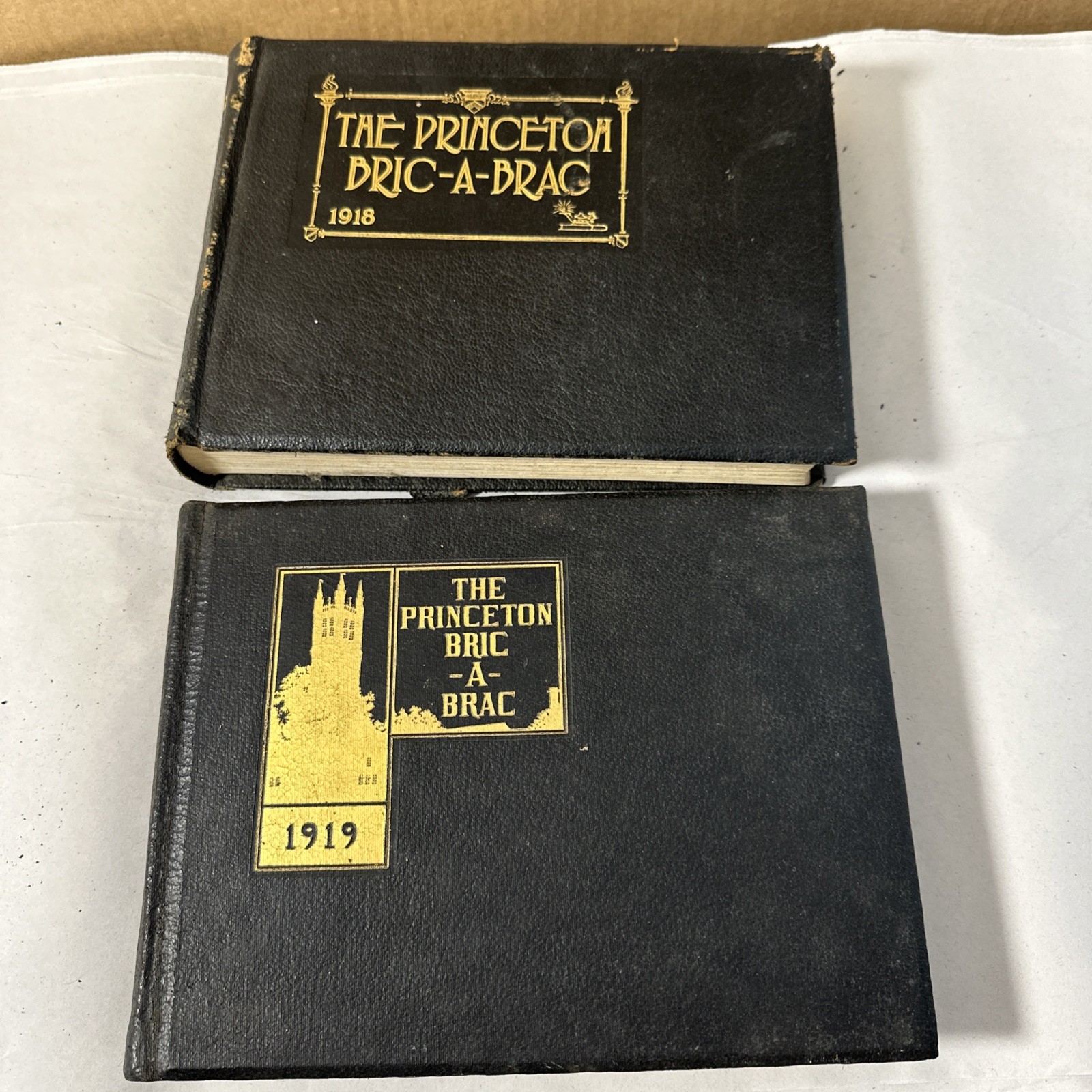 The Princeton Bric A Brac 1918 & 1919 Yearbook F Scott Fitzgerald Gatsby Rare
