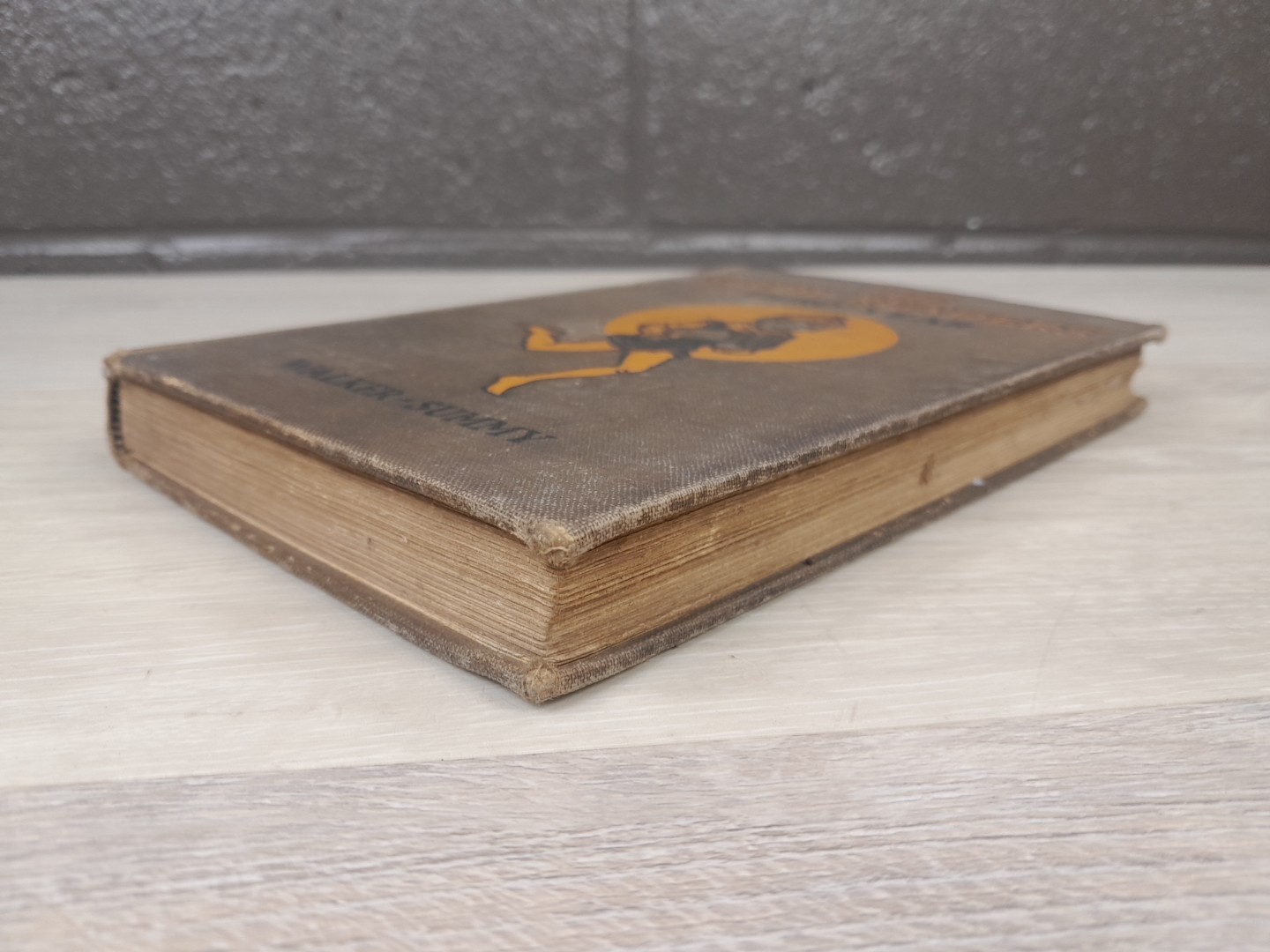 1926 The Study Readers Third Year By Alberta Walker HC First Edition