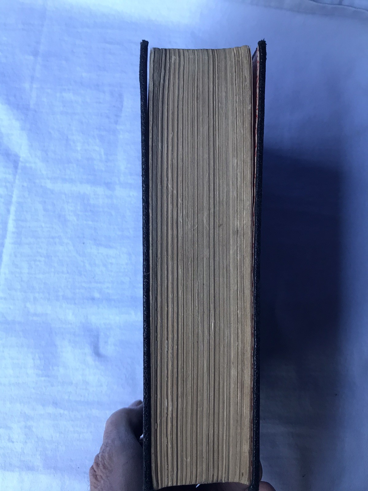 Witchcraft Occult Esoteric Edward Lyndoe Everybody’s Book of Fate and Fortune