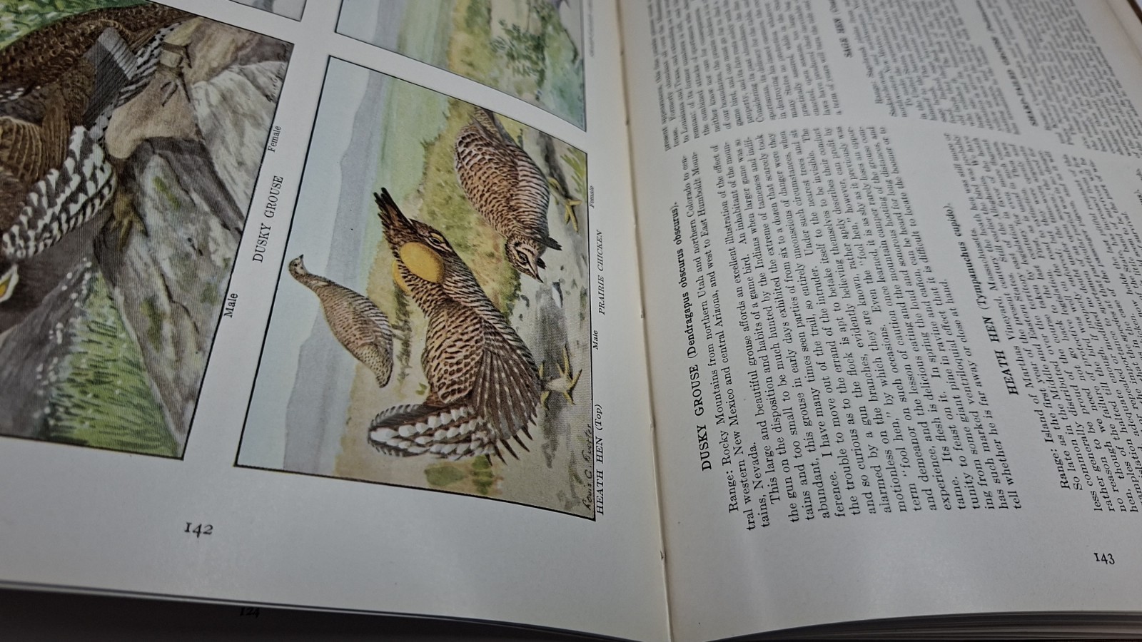The Book of Birds National Geographic Society by Henry W Henshaw 1918 Very Good