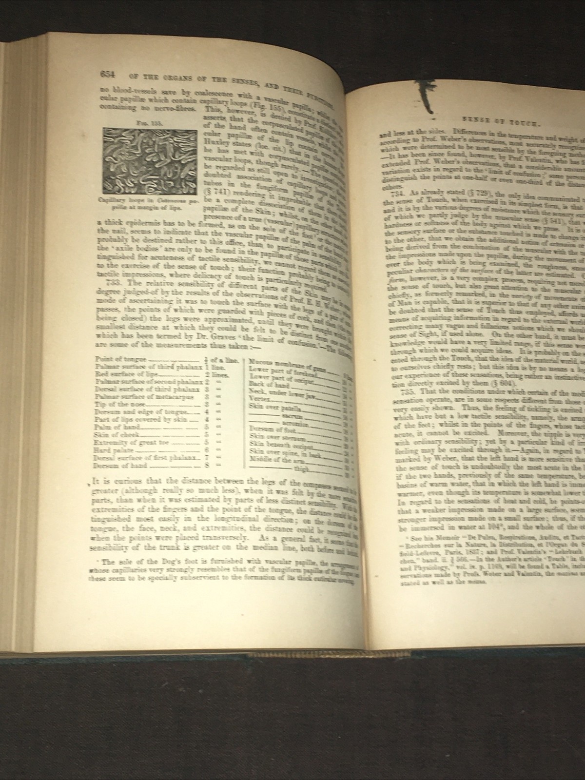 1868 First American Edition Principles Of Human Physiology Carpenter, Smith