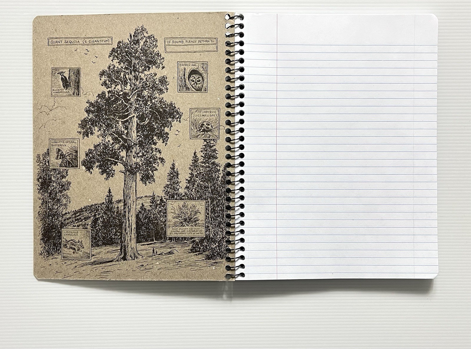 Decomposition Book by Roger Humpback Whale Design 9.75IN X 7.5IN Notebook SB
