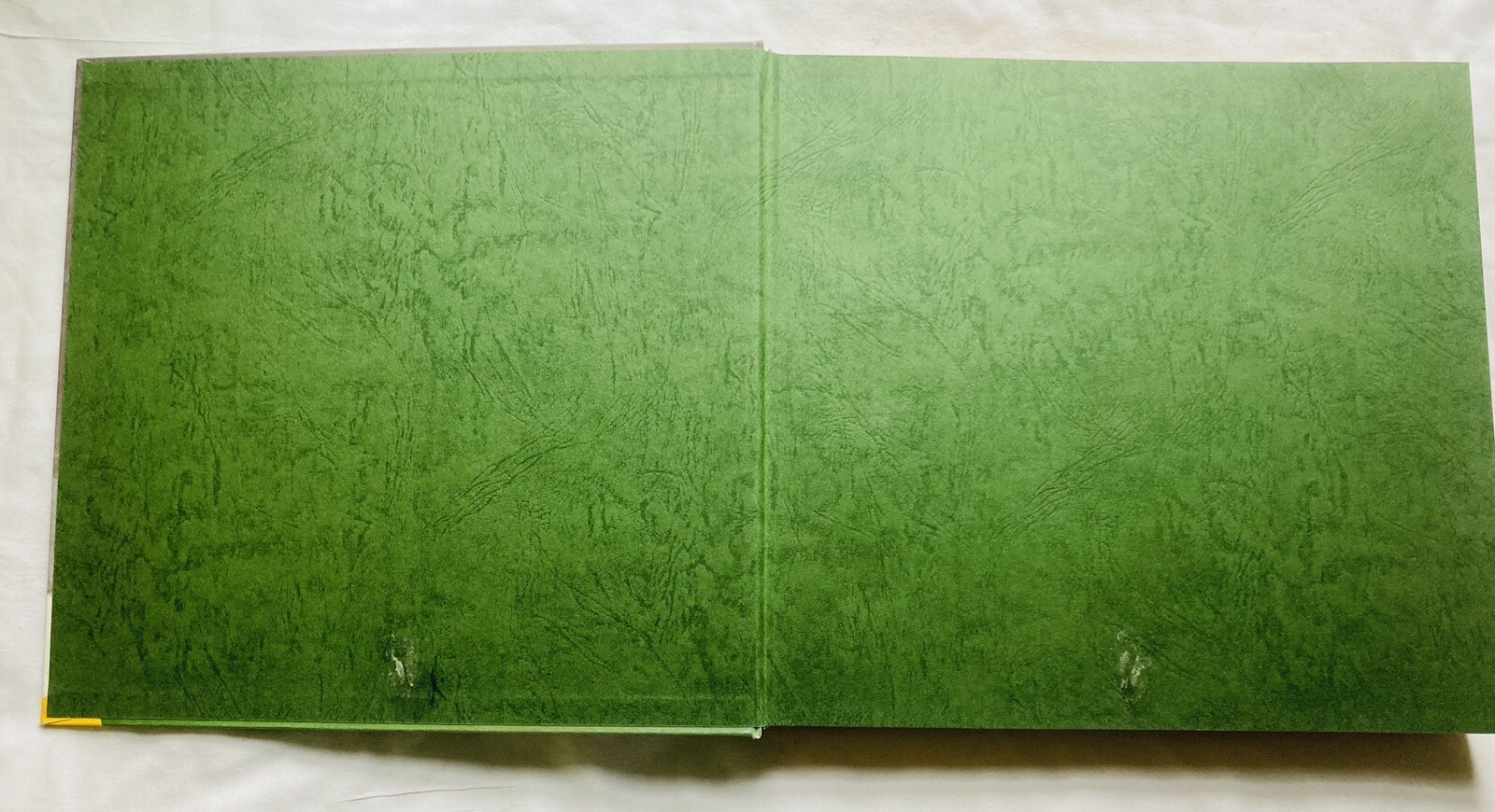 Helen Frankenthaler – text by Barbara Rose *green cover*