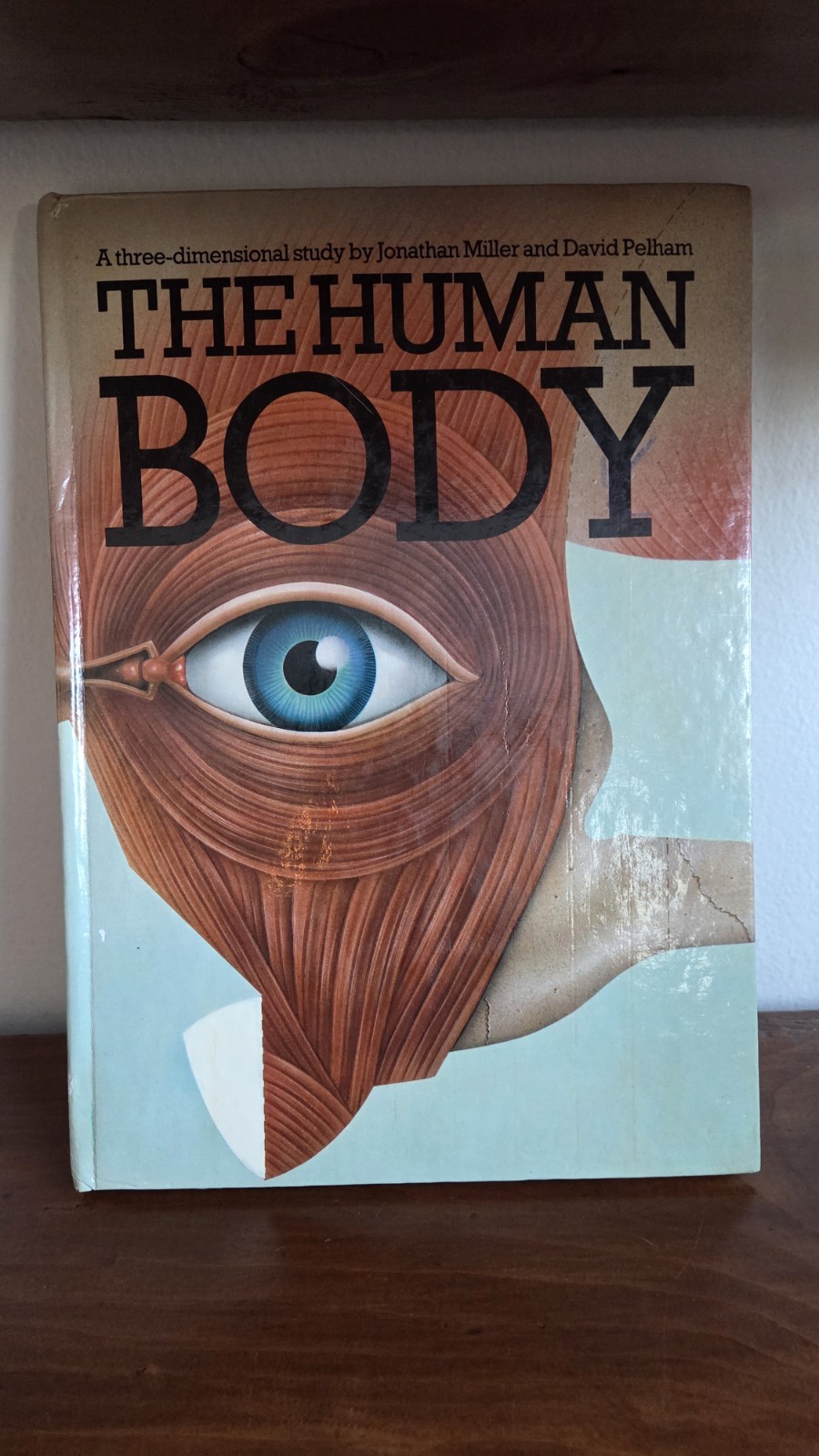 Miller, Jonathan, M.D. / David Pelham, et al. The Human Body.