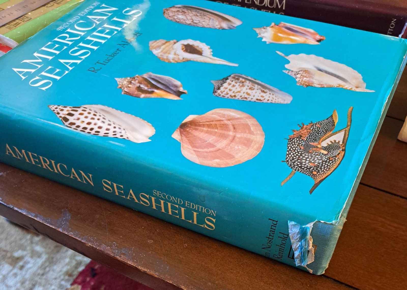 AMERICAN SEASHELLS, Second Edition by R. Tucker Abbott 1974
