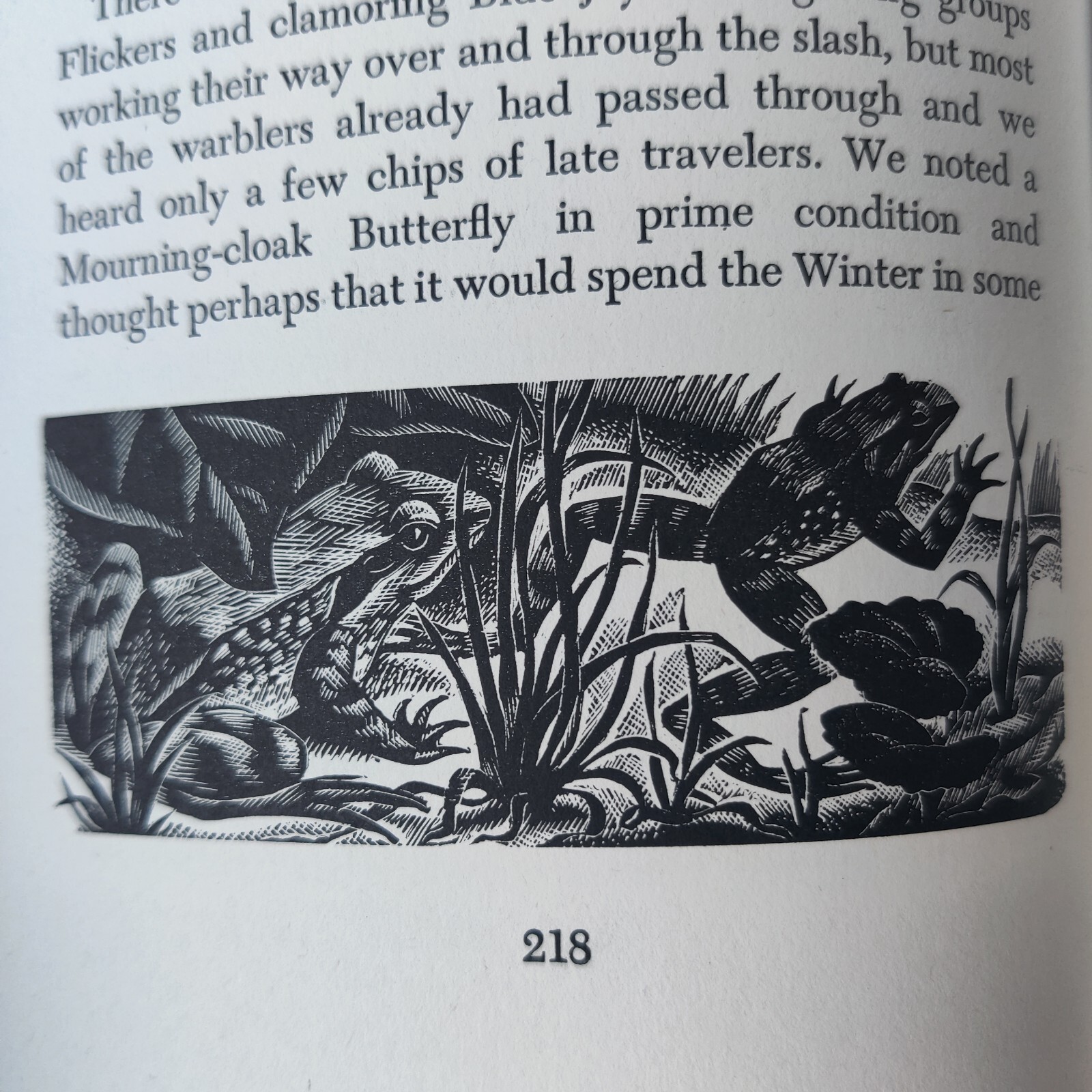 Footnotes on Nature John Kieran Nora Unwin 1947 HC DJ 1st Edition Engravings