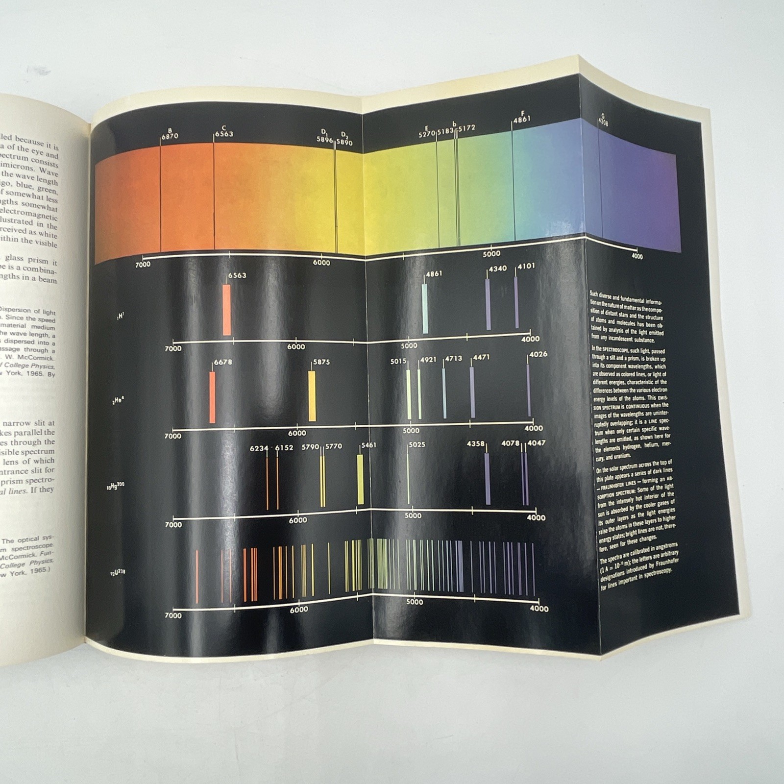 Basic Ideas In Biology By Edwin A. Phillips 1971 First Edition Hardcover Book