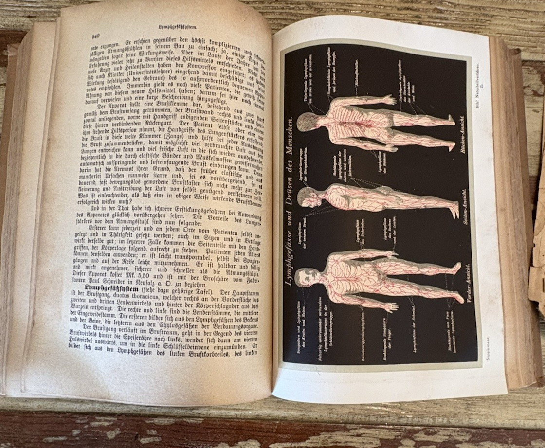 Antique Bilz Supplement-Band Interactive Anatomical Flap Book c1905–1912 Leipzig