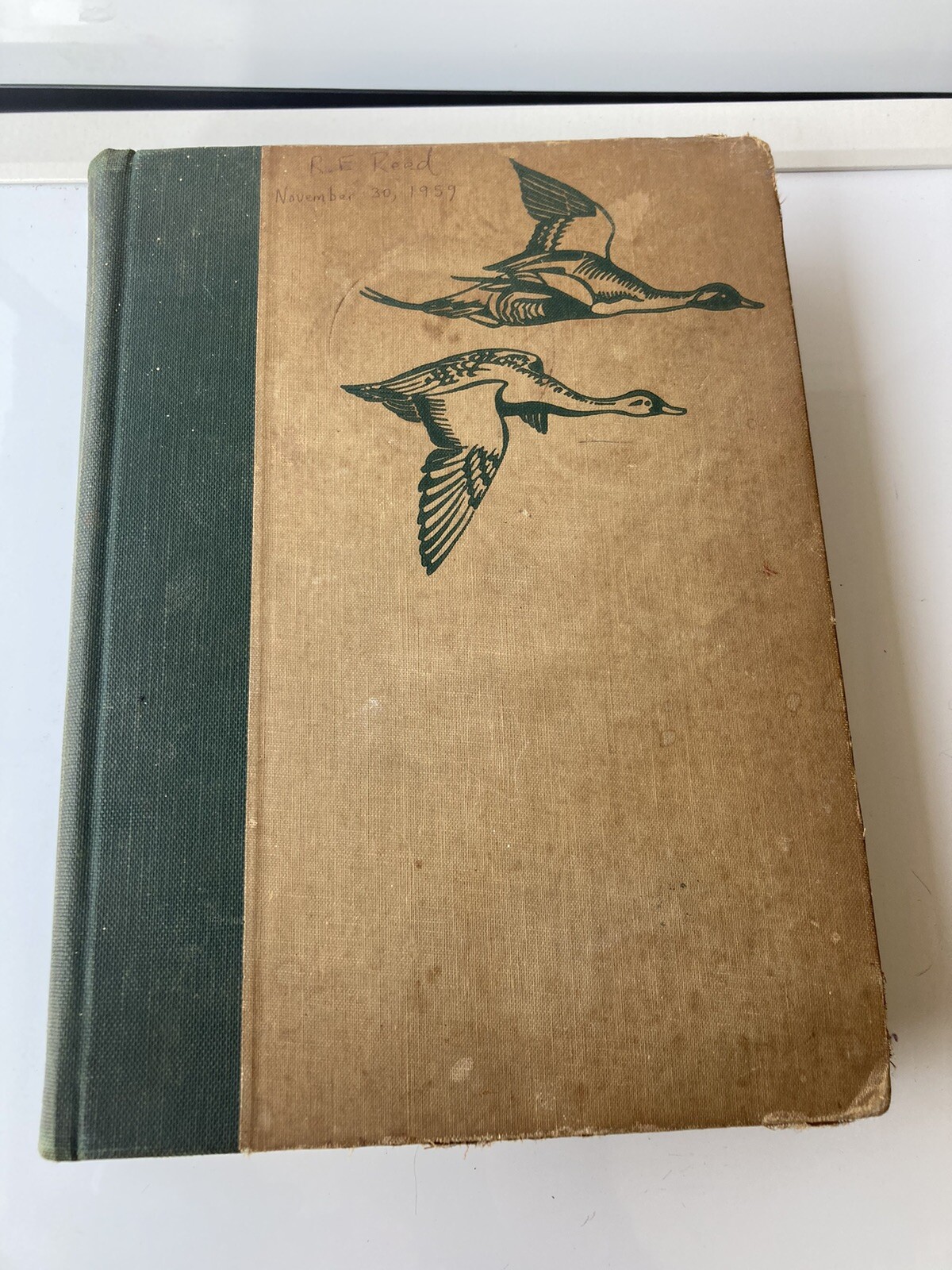Birds of America 1936 Hardcover Color Plates Garden City Books Gilbert Pearson