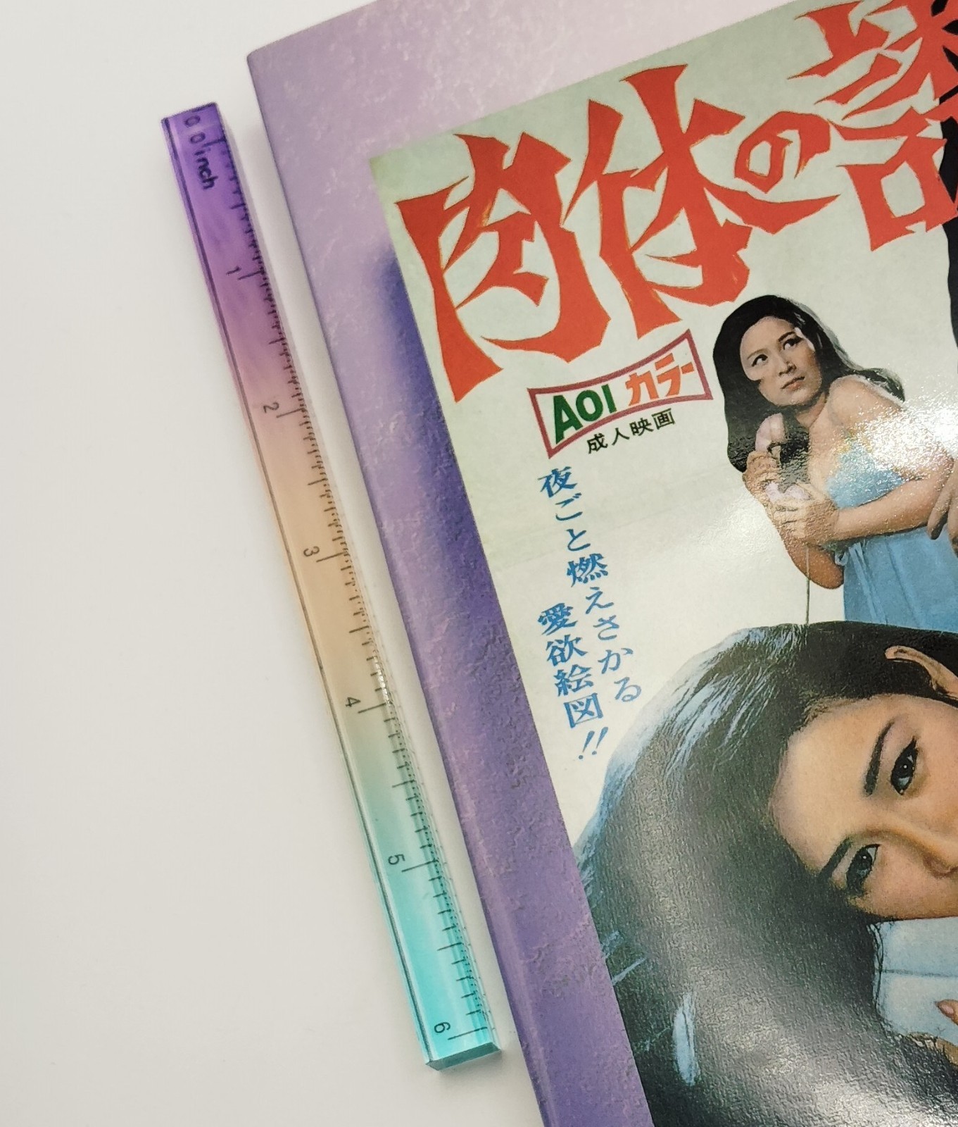 Japanese Movie Poster Art Book Exploitation Film Pinku Eiga 1960s Vintage