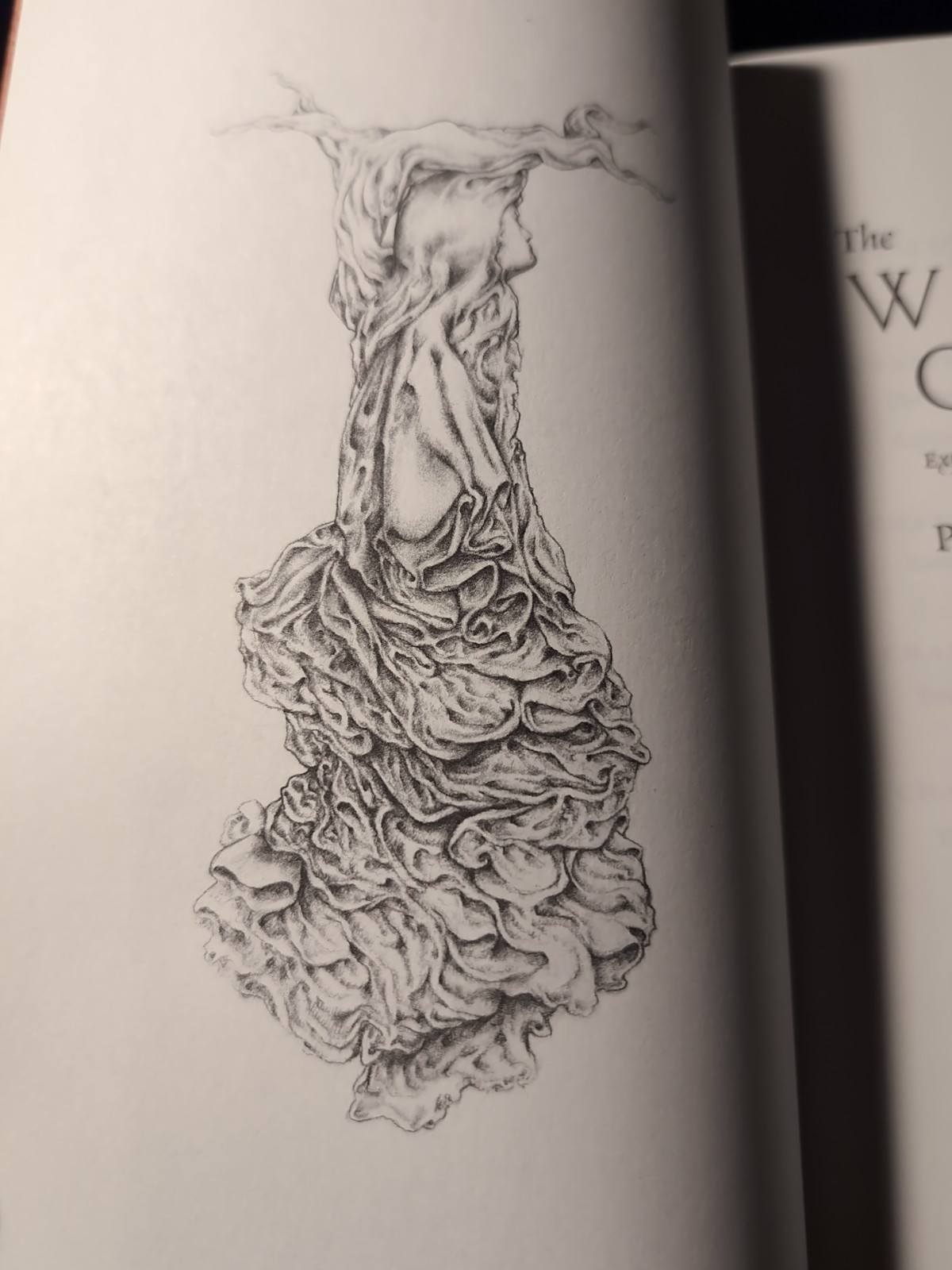 Hamilton-Giles The Witching other: Explorations and Meditations on the Witch