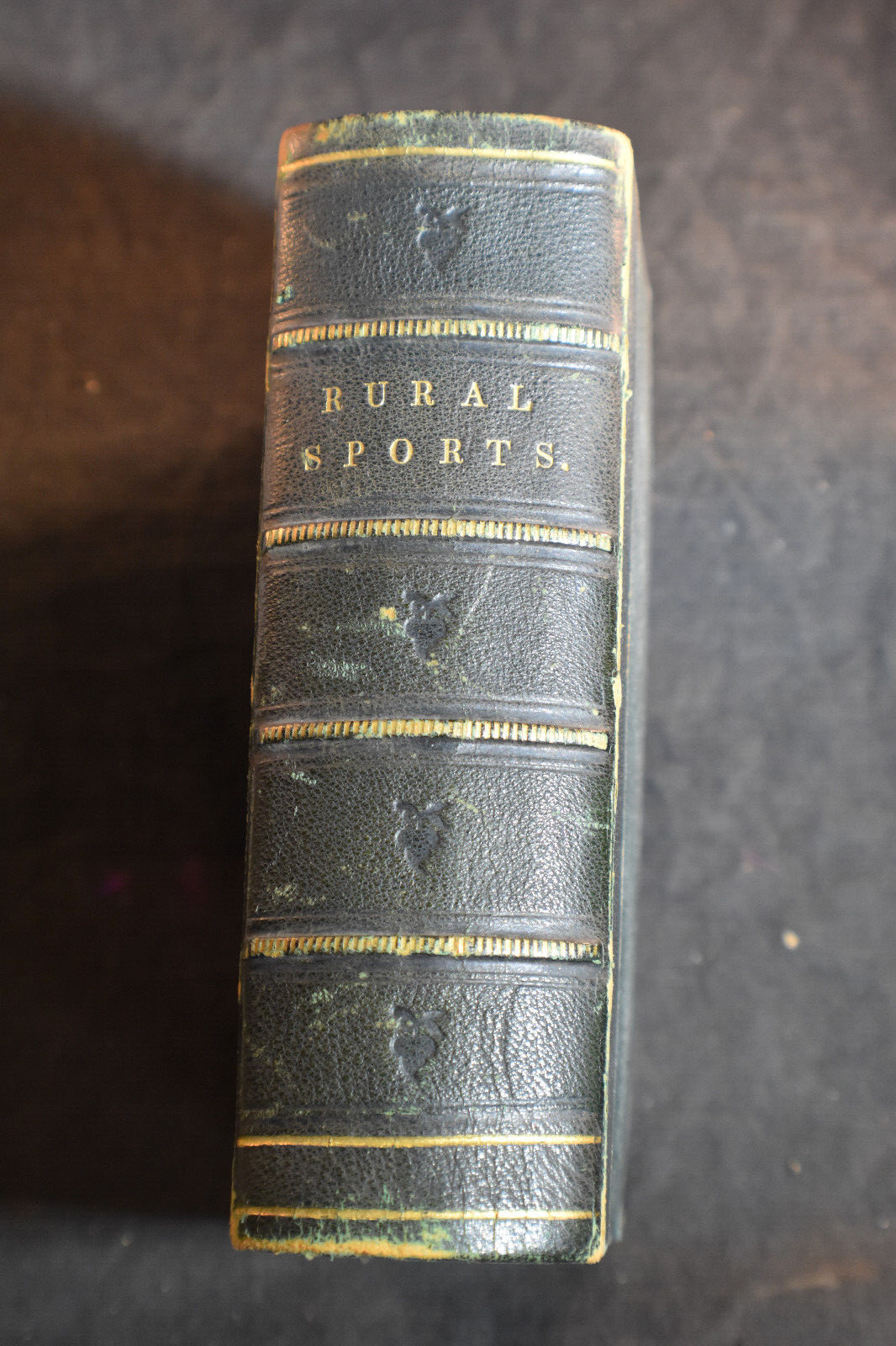 1857 *ILLUSTRATED* Manual of British Rural Sports by JH Walsh [Stonehenge]