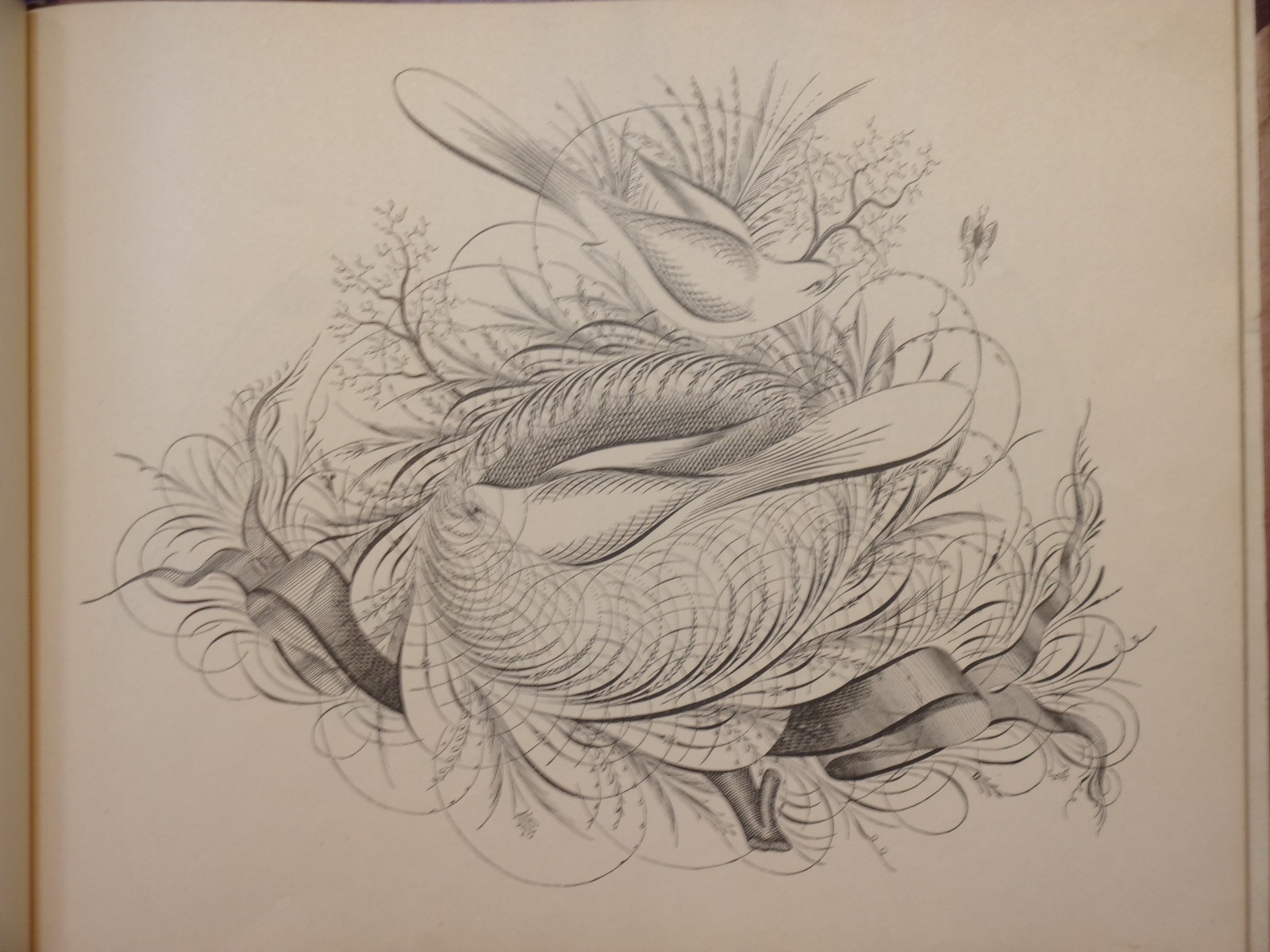 REAL PEN-WORK SELF-INSTRUCTOR IN PENMANSHIP. 1881, Knowles, Pittsfield, Mass.
