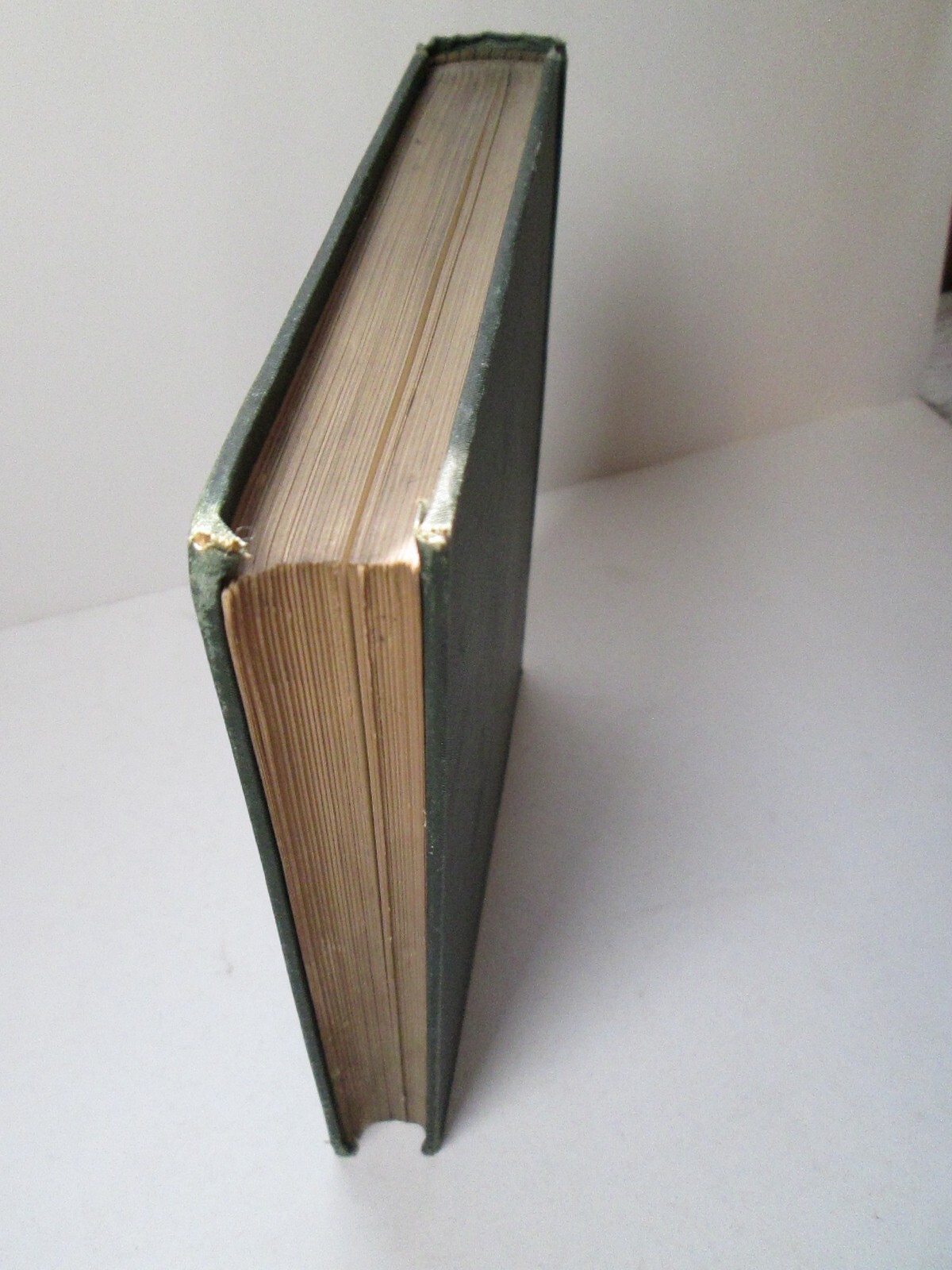 A Loyal Little Red Coat Antique 1890 Book New York Revolutionary War Child Ogden