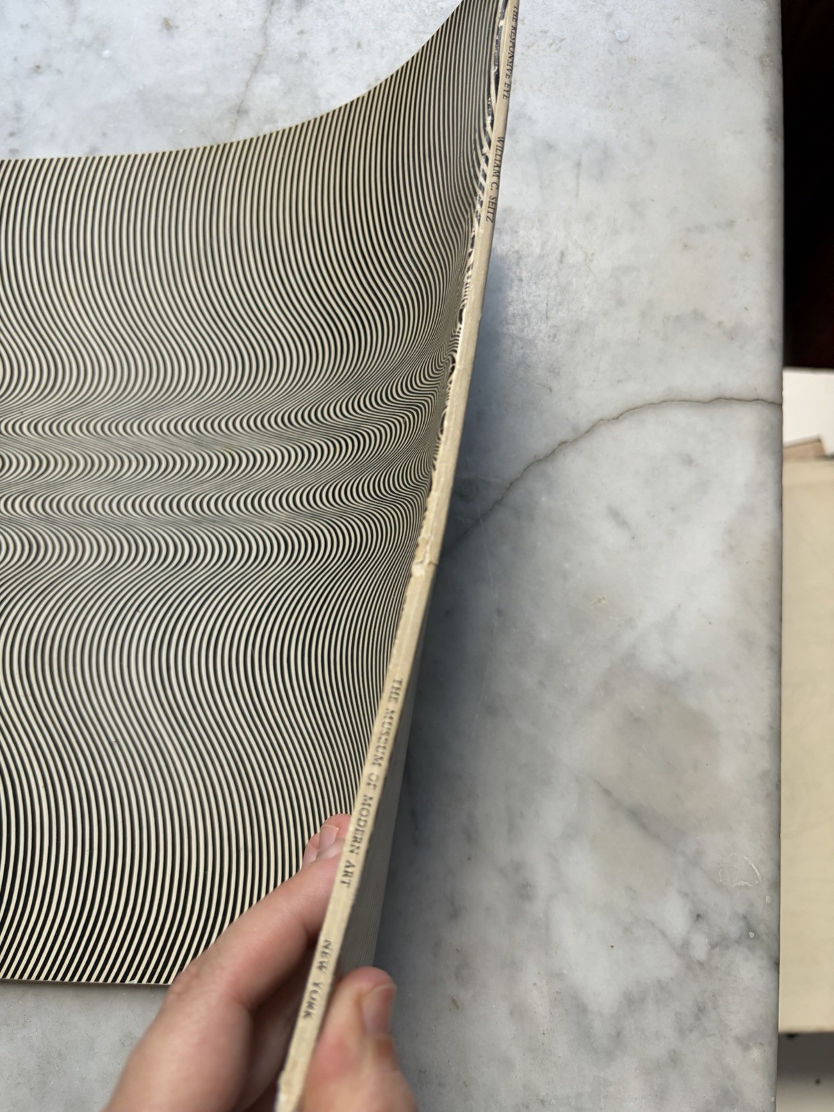 The Responsive Eye by William Seitz Museum of Modern Art, 1st Ed Softcover, 1965