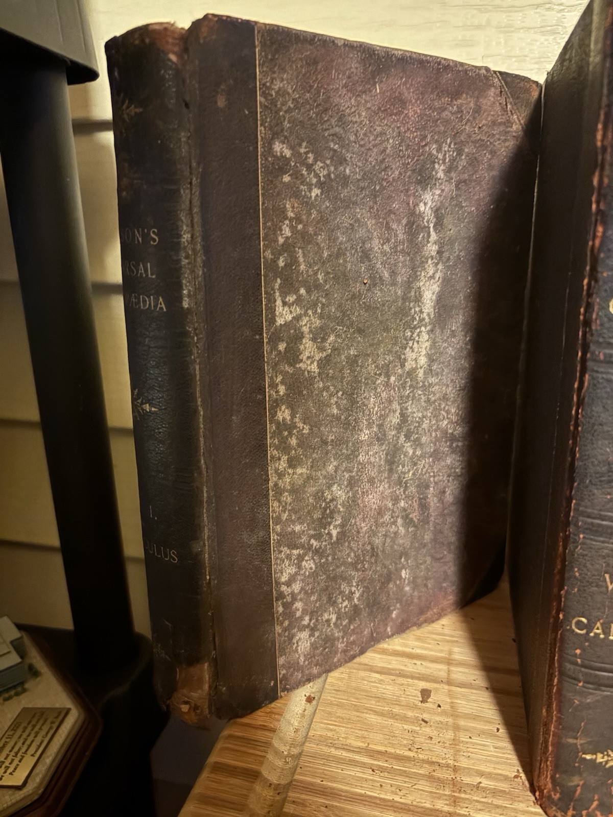 1880s Johnson’s Universal Cyclopaedia Antique Leather Bound Books Partial Set