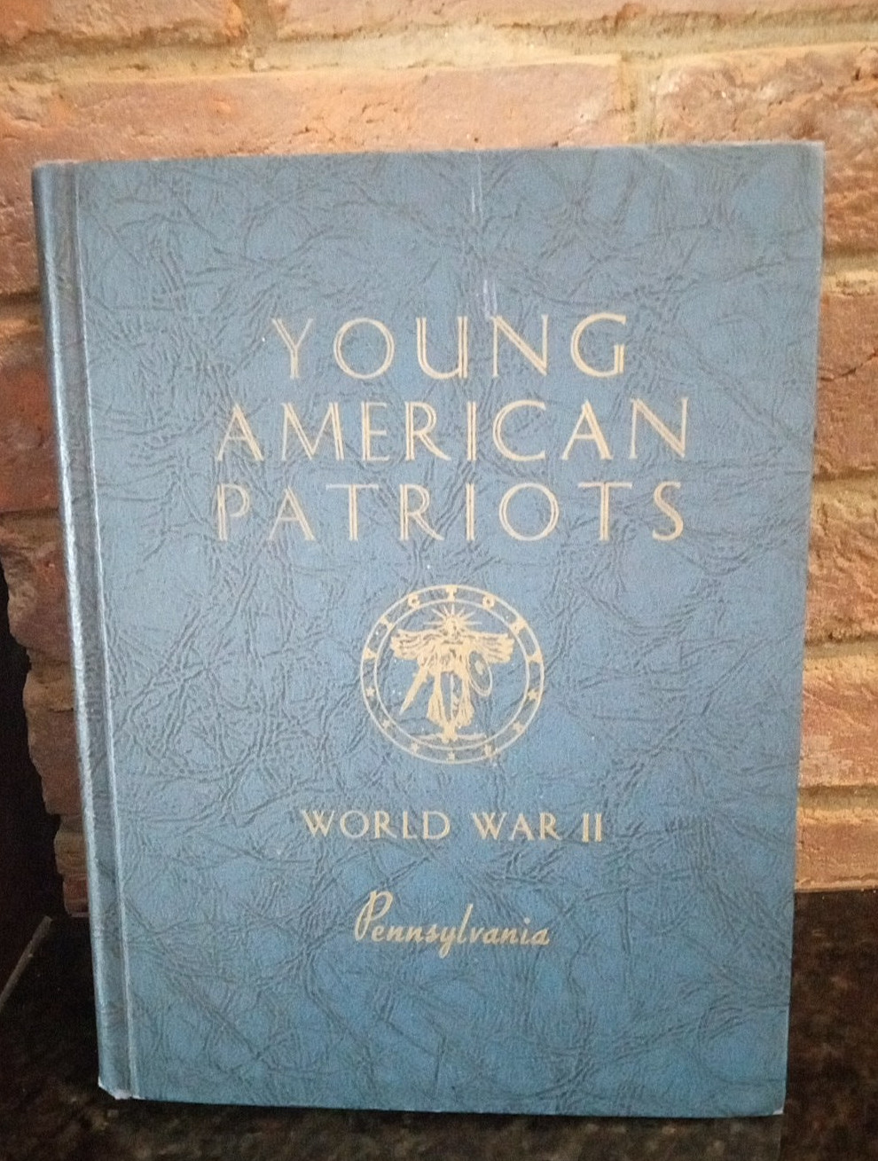 Young American Patriots WWII Pennsylvania 1946 HC Scarce Local History