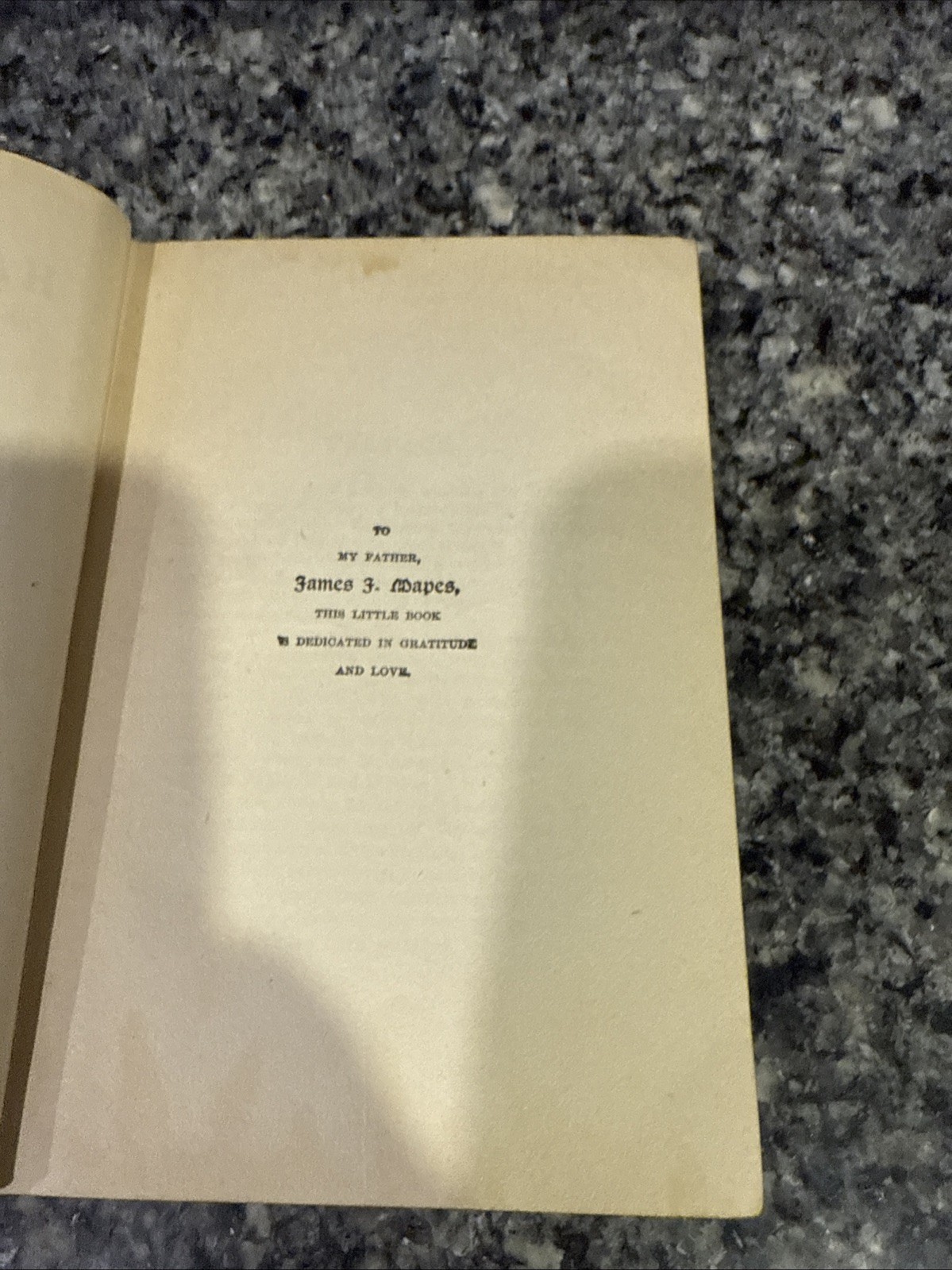 1919 Hans Brinker Silver Skates Mary Mapes Dodge Donohue HC VTG Classic Book