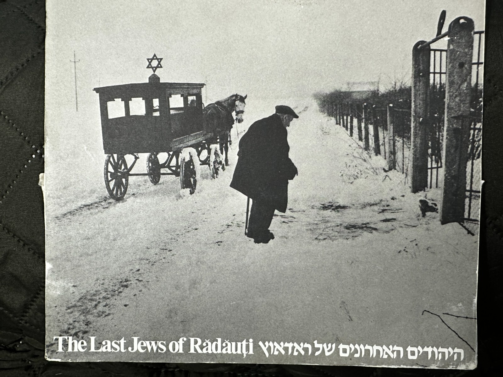 The Last Jews of Radauti – 12 PLATES- Salzmann-Beth Hatefutsoth Museum- VG- RARE