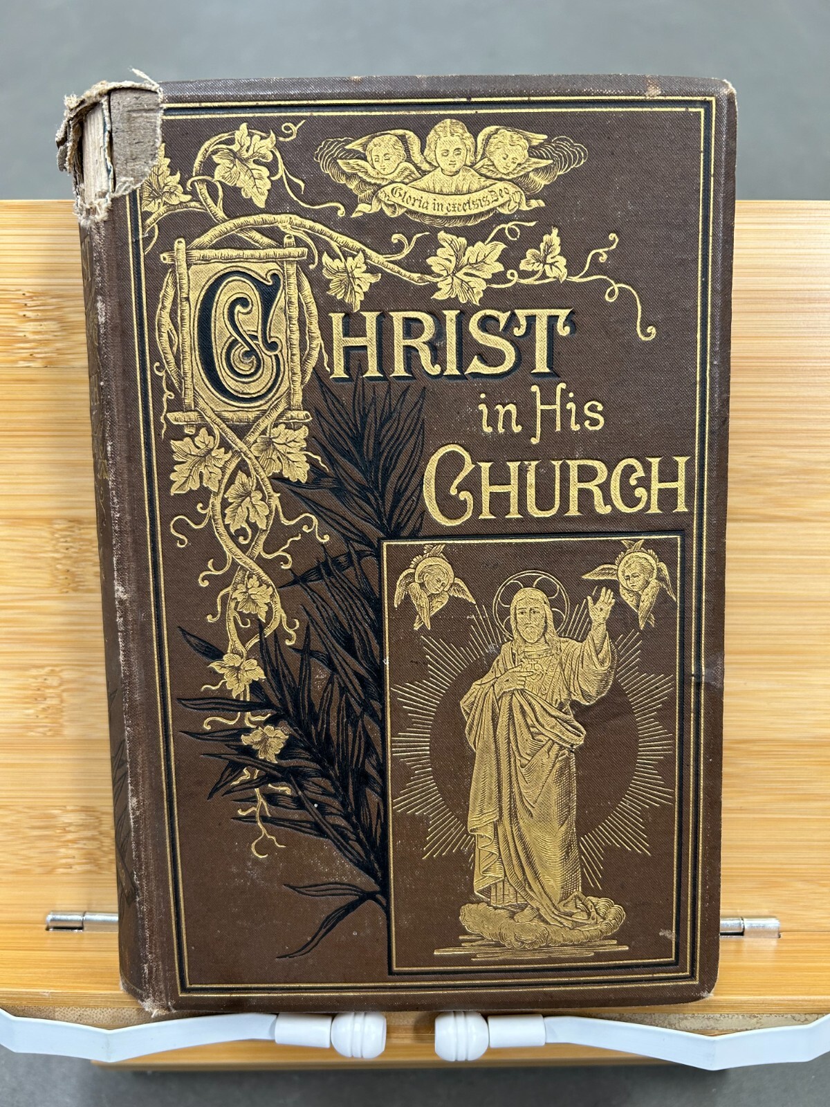 Christ in His Church: A Catholic Church History, 1881 Benziger Bros.