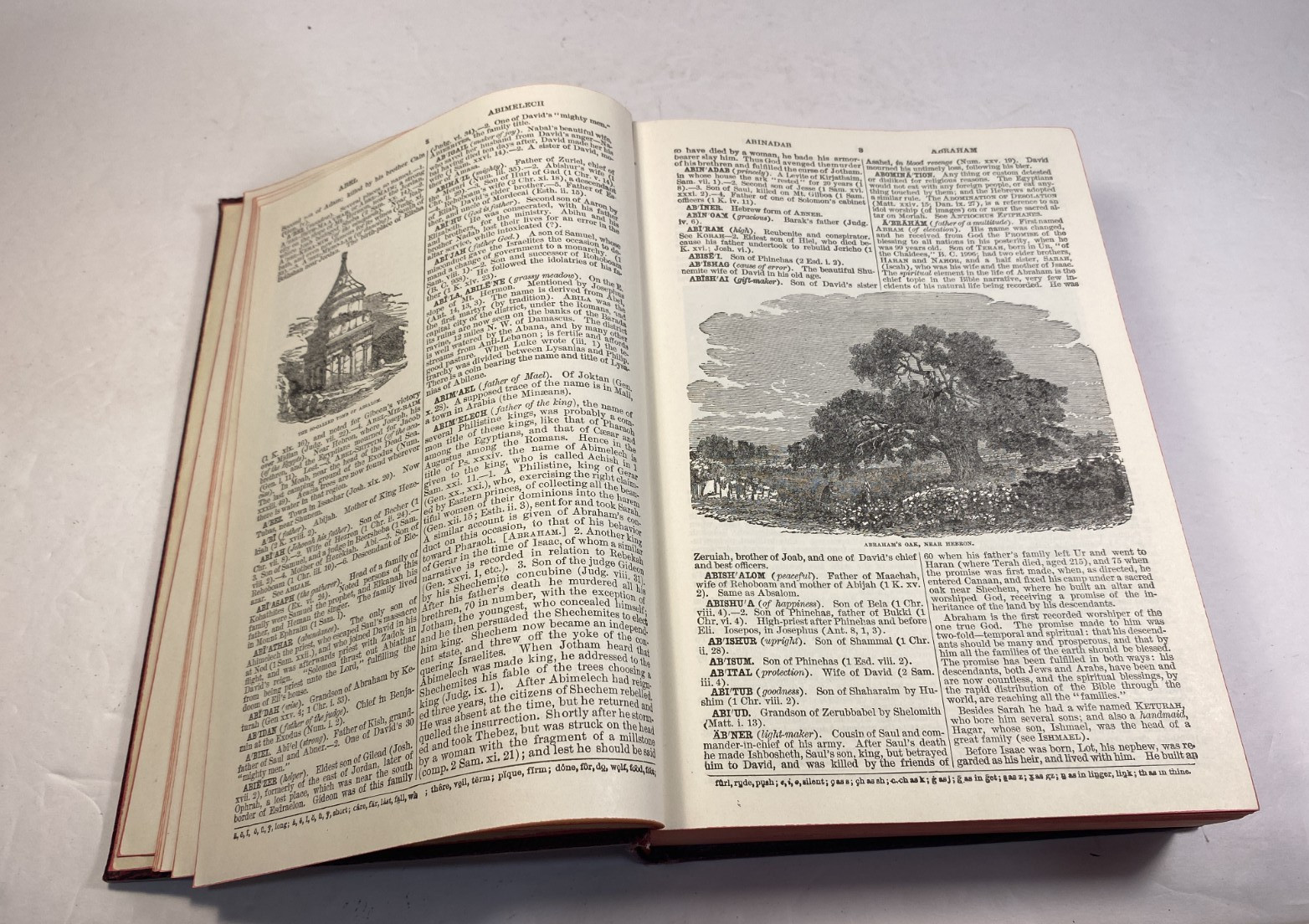 Smith’s Bible Dictionary Revised Edition Leather William Smith, A J Holman HC