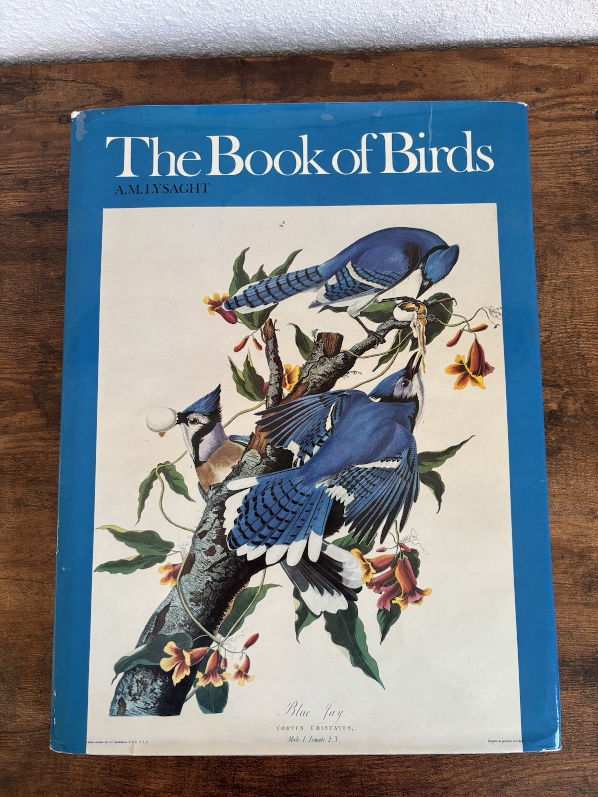 The Book of Birds A.M. Lysaght 1975 Phaidon Press Hardcover EX-Library