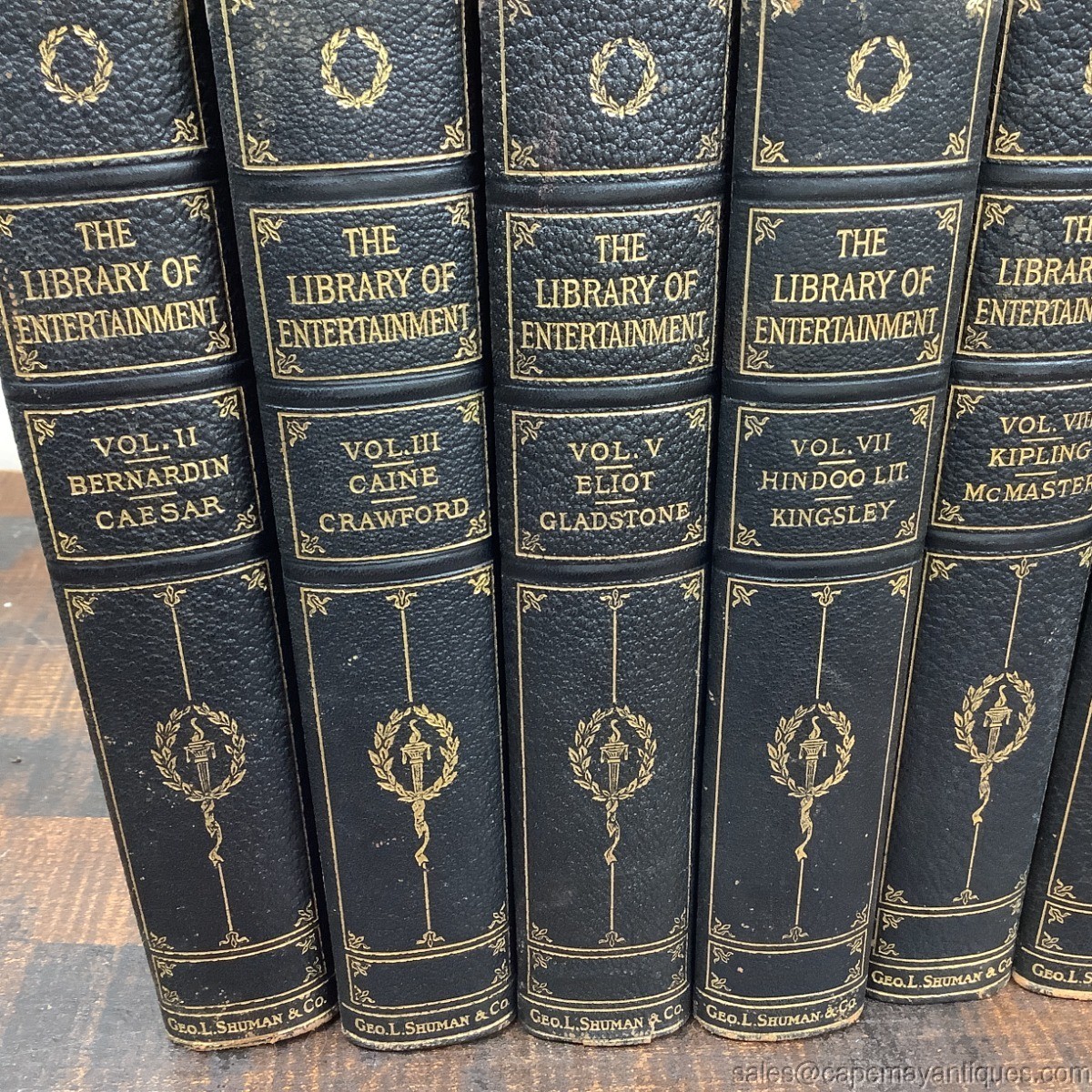 The Stoddard Library of Entertainment 8 Various Volumes Blue Gold Leather Bound