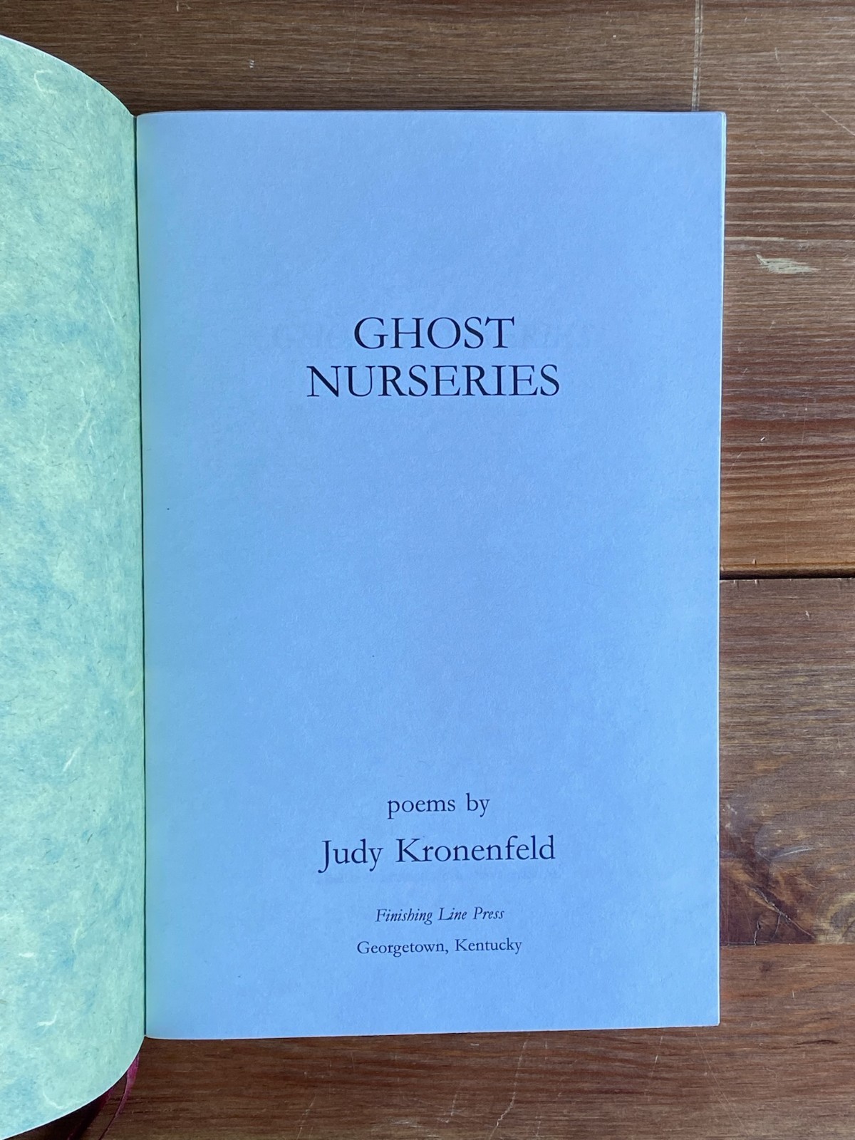 Contemporary Poetry ~ Ghost Nurseries ~ Judy Kronenfeld ~ 1st Ed 2005
