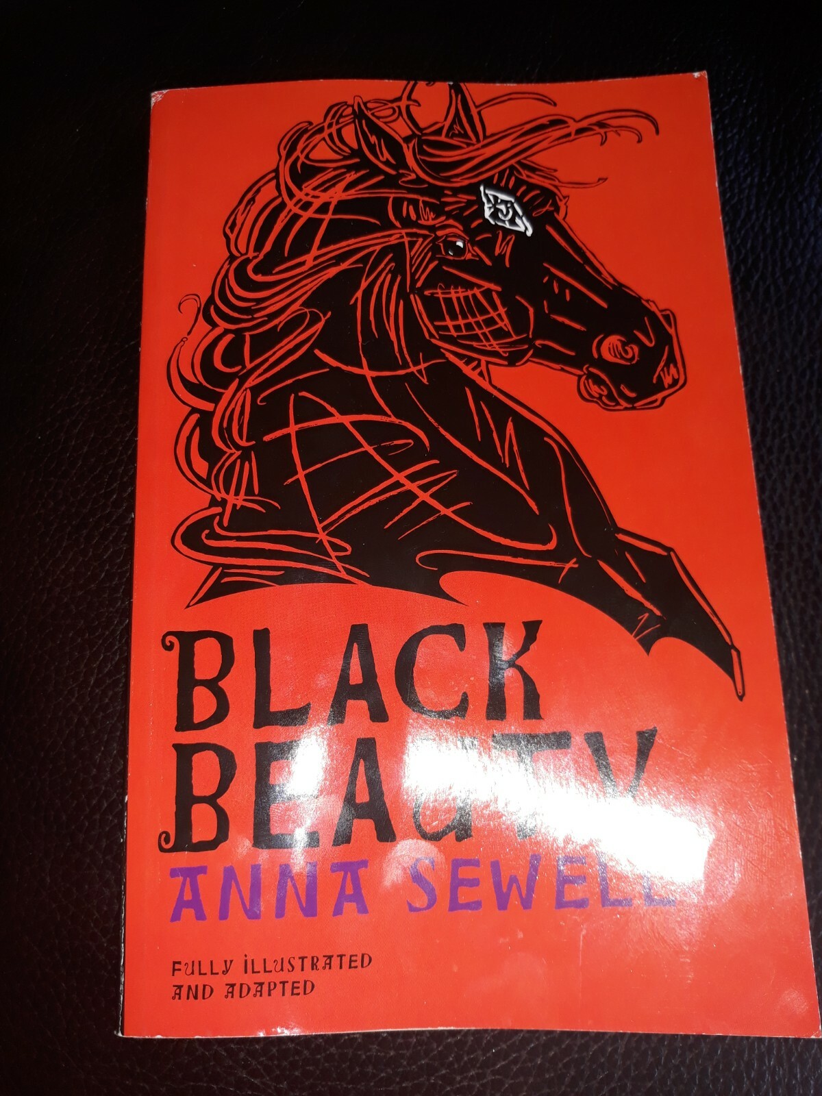 Black Beauty Book
