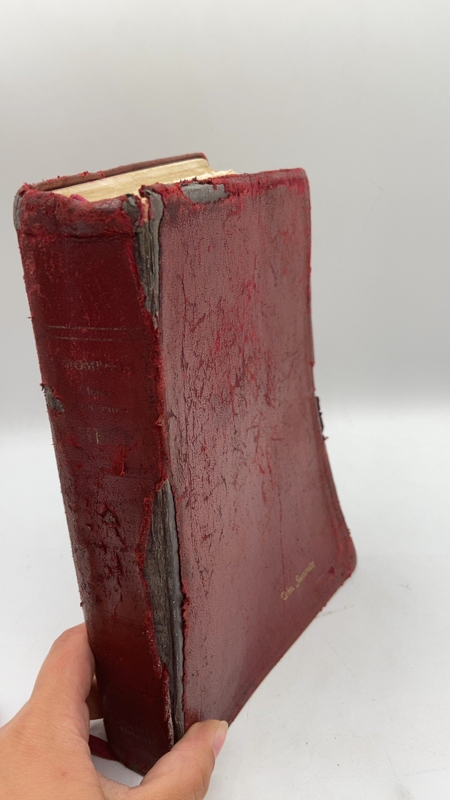 Thompson Chain-Reference Bible Hardcover