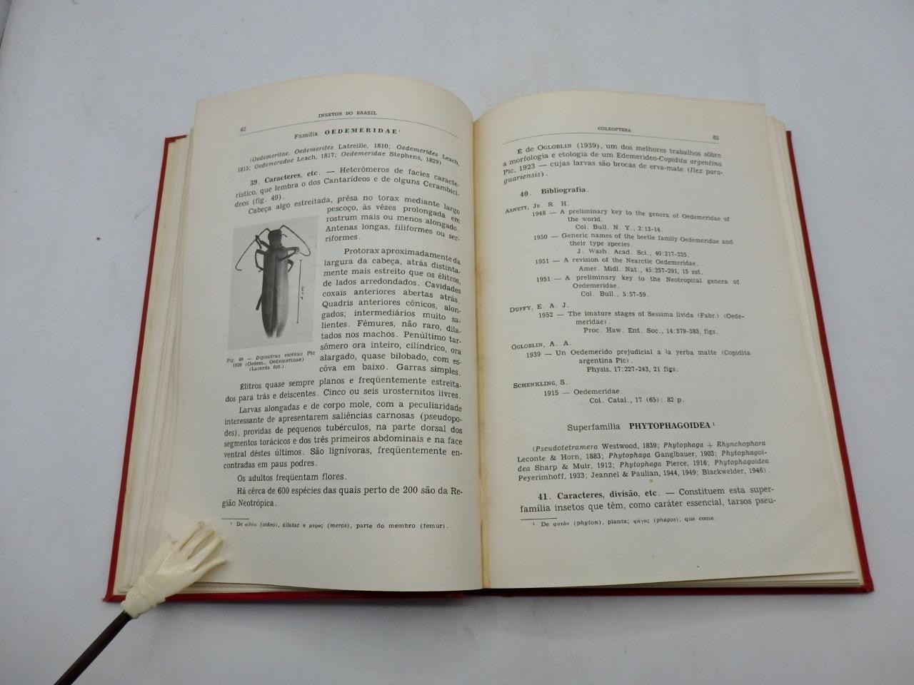 A Da Costa Lima INSECTOS DO BRASIL – COLEOPTEROS Part 3 Natural History BEETLES