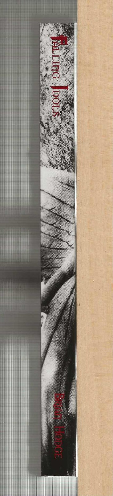 Brian Hodge FALLING IDOLS First Edition SIGNED Ltd. Horror Stories TP Lovecraft