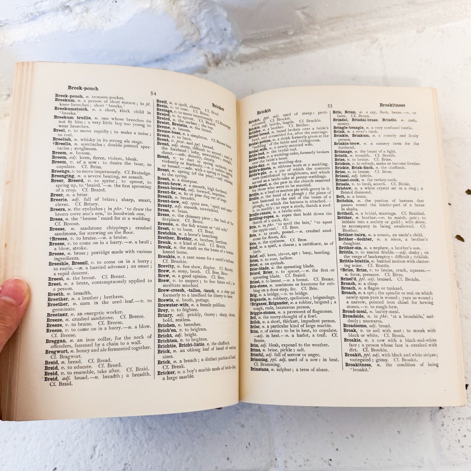 Antique 1911 Chambers’s Scots Dialect Dictionary A. Warrack Scotland Language HC