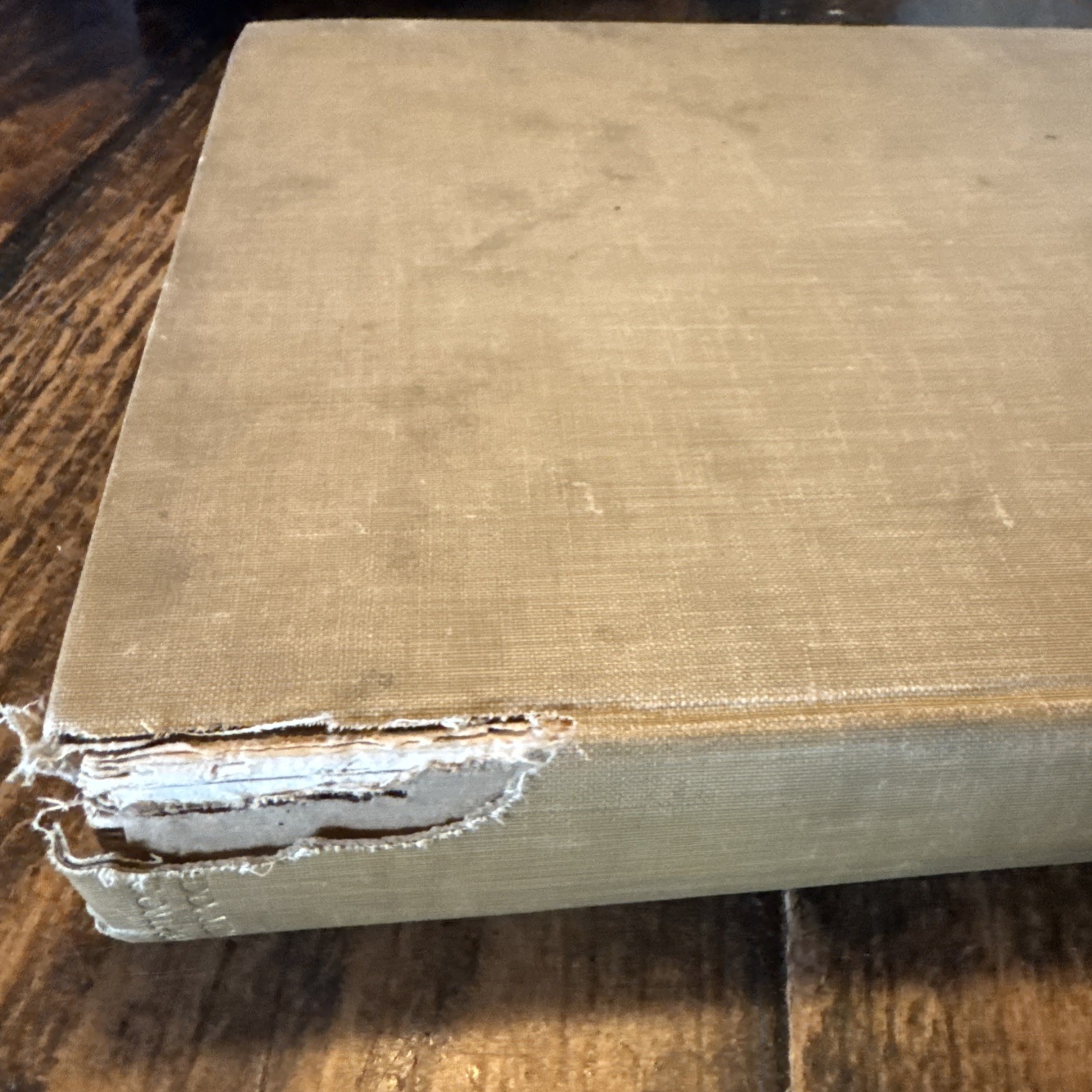 Antique 1926 The Light of Asia by Sir Edwin Arnold #1262/3000 New Edition