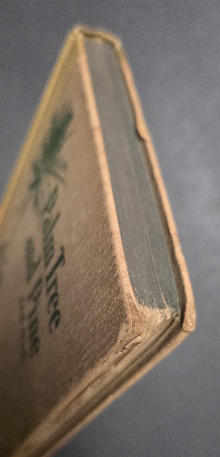 Palm Tree And Pine By Edith Eberle Stories Of The Philippine Islands 1927 *HTF*